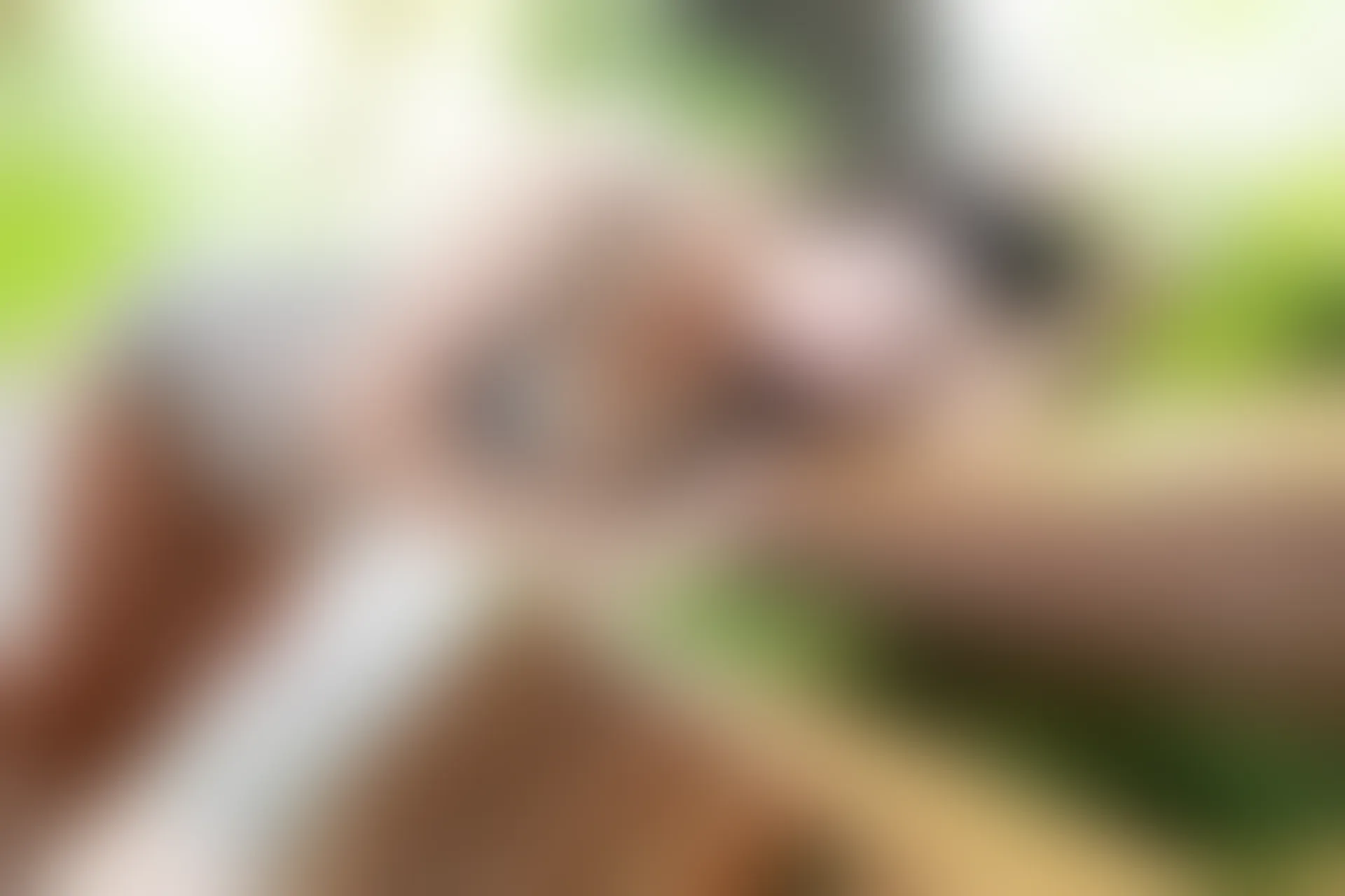 XiuRen秀人网 2015.10.09 No.403 夏茉GIGI[69P+1P117MB]
