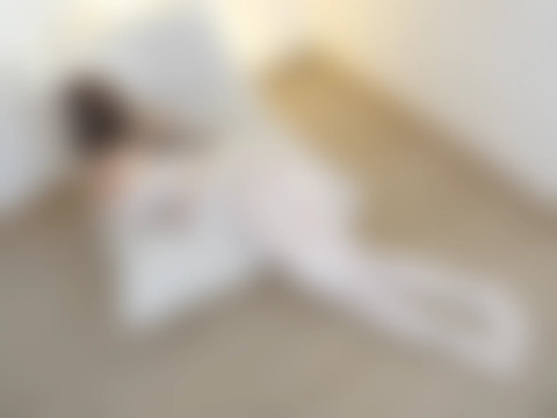 森萝财团 朝露-02E 4K 双马尾白丝可爱女仆 [103P2V-5.83GB]