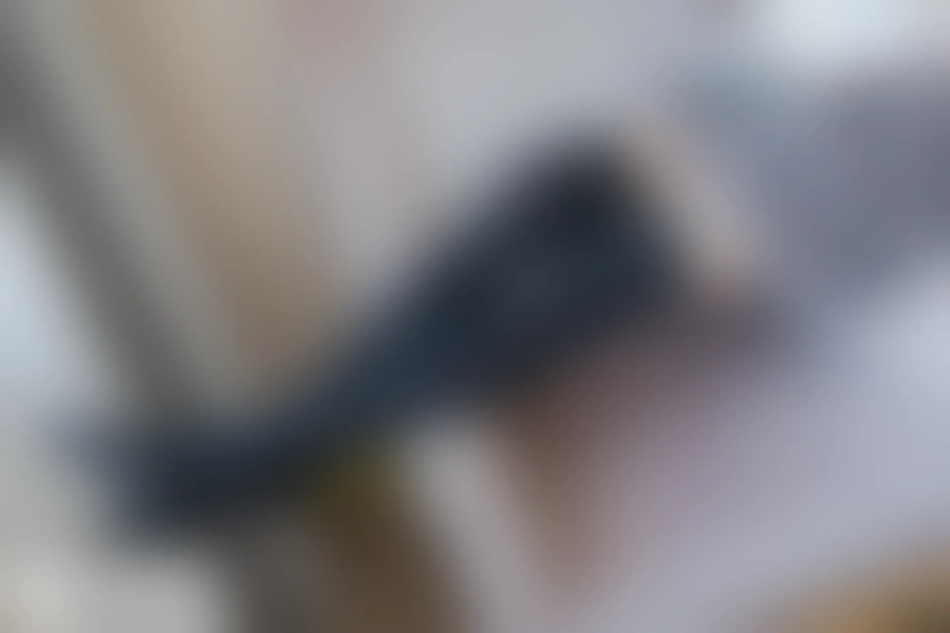 C31.005 黑桃 [40P-92MB]