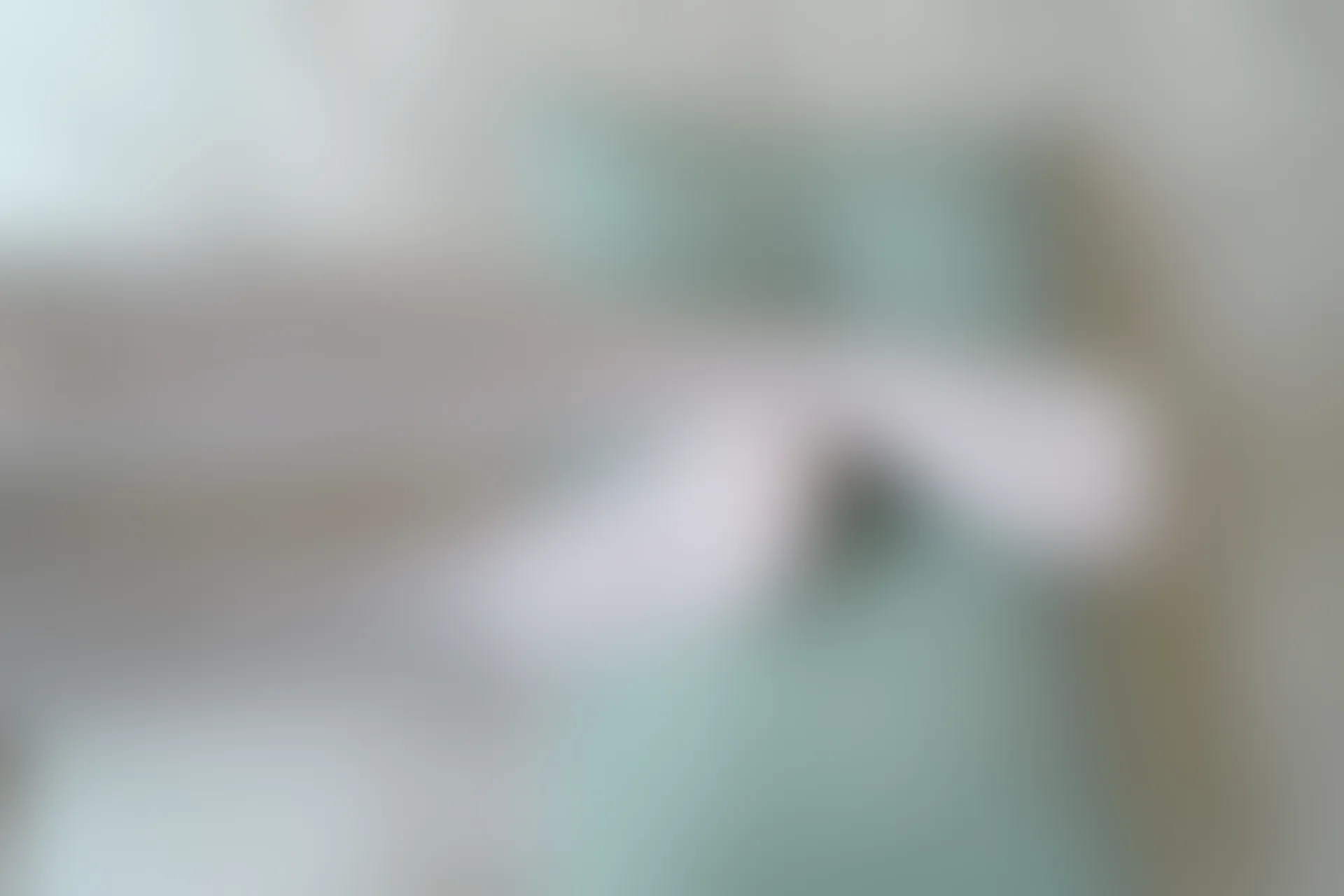 森萝财团 R15-035 [107P-629M]可爱, 森萝财团, 白丝, 美腿