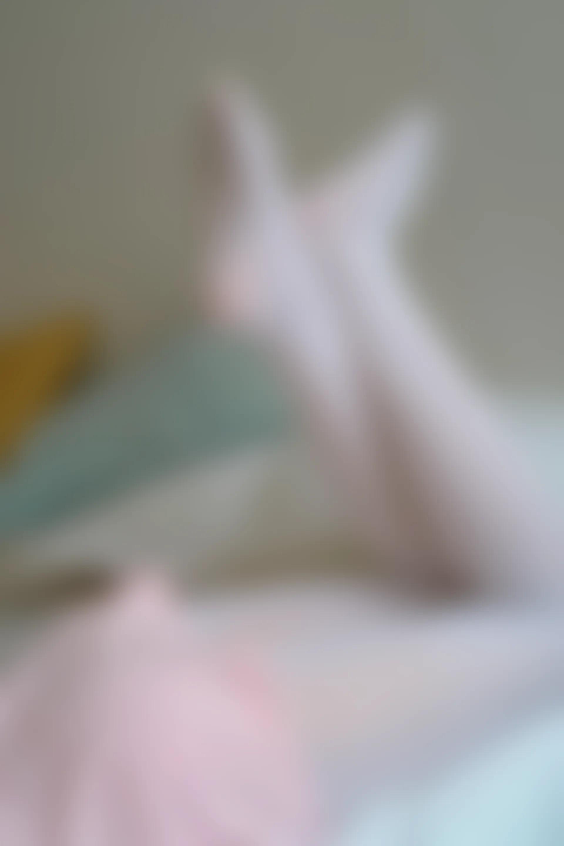 森萝财团 R15-035 [107P-629M]可爱, 森萝财团, 白丝, 美腿