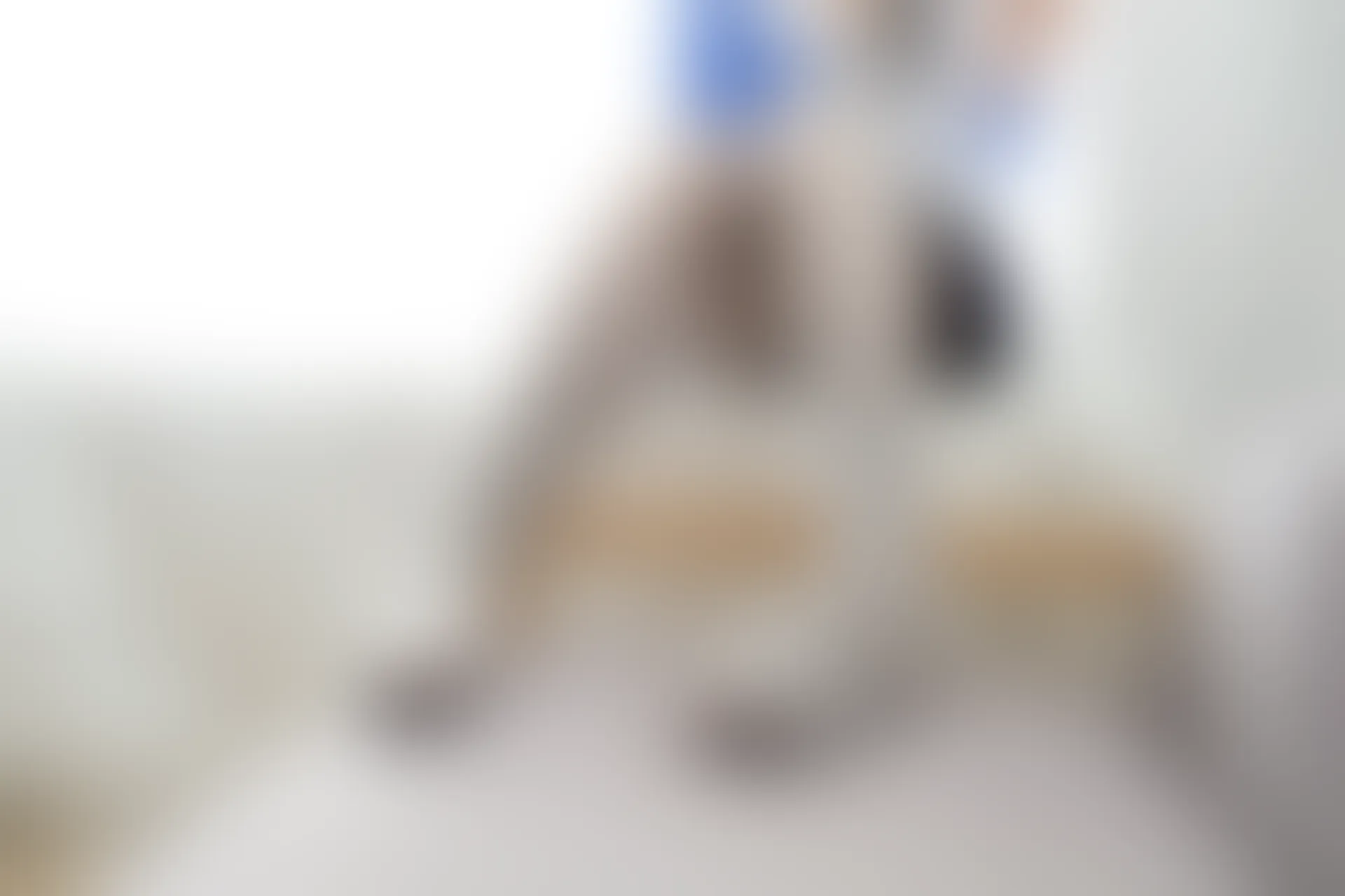 喵写真 VOL-015 [70P-502M]可爱, 喵写真, 学生装, 白丝, 美腿