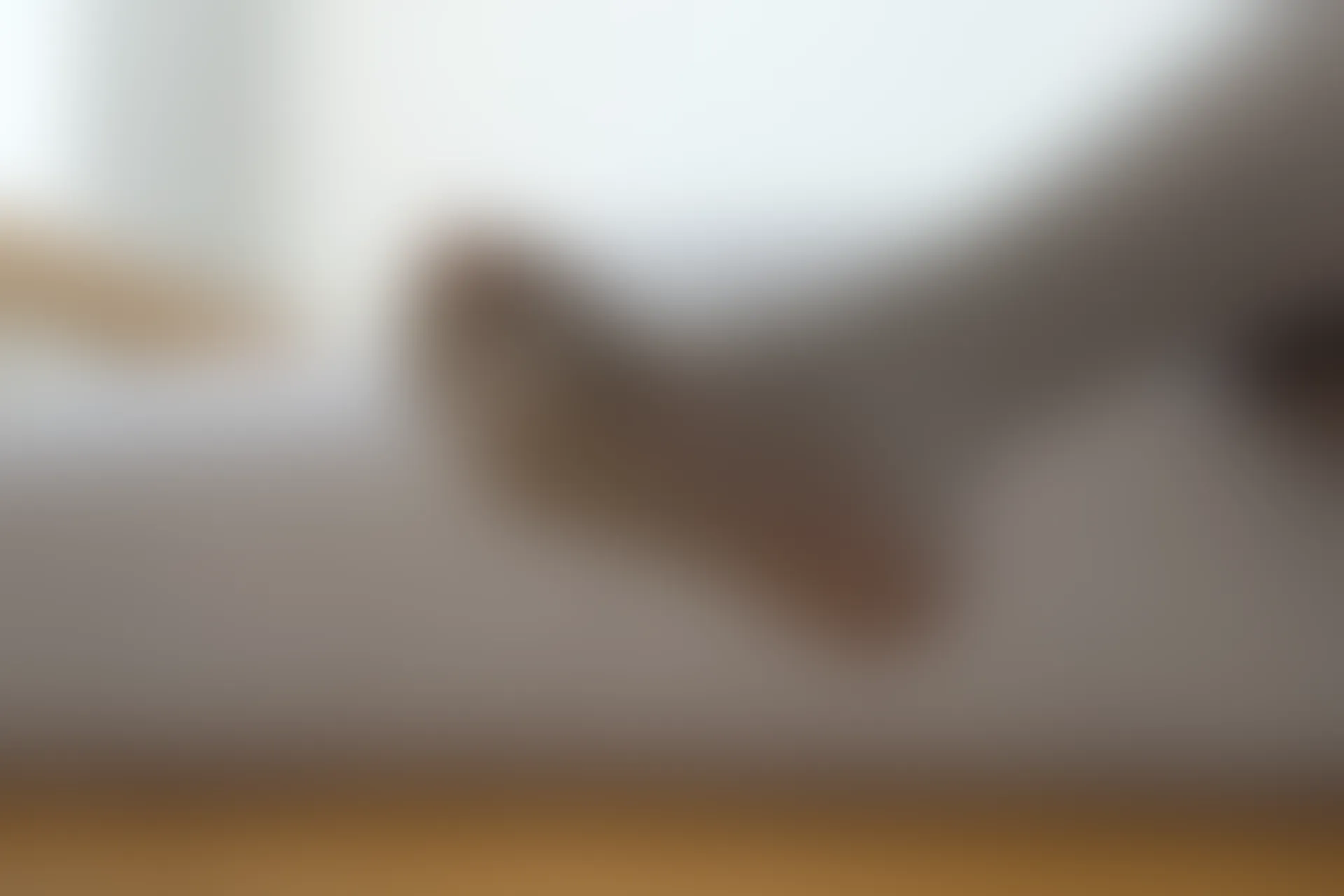喵写真 VOL-015 [70P-502M]可爱, 喵写真, 学生装, 白丝, 美腿