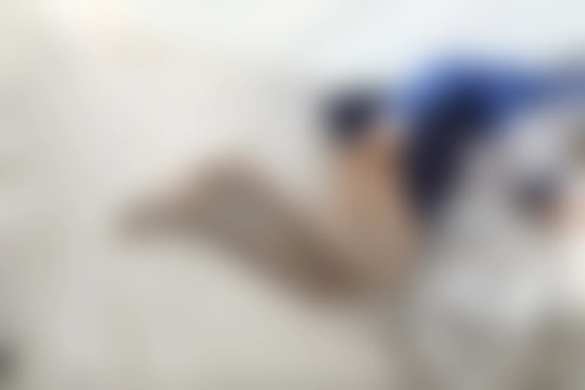 喵写真 VOL-015 [70P-502M]可爱, 喵写真, 学生装, 白丝, 美腿