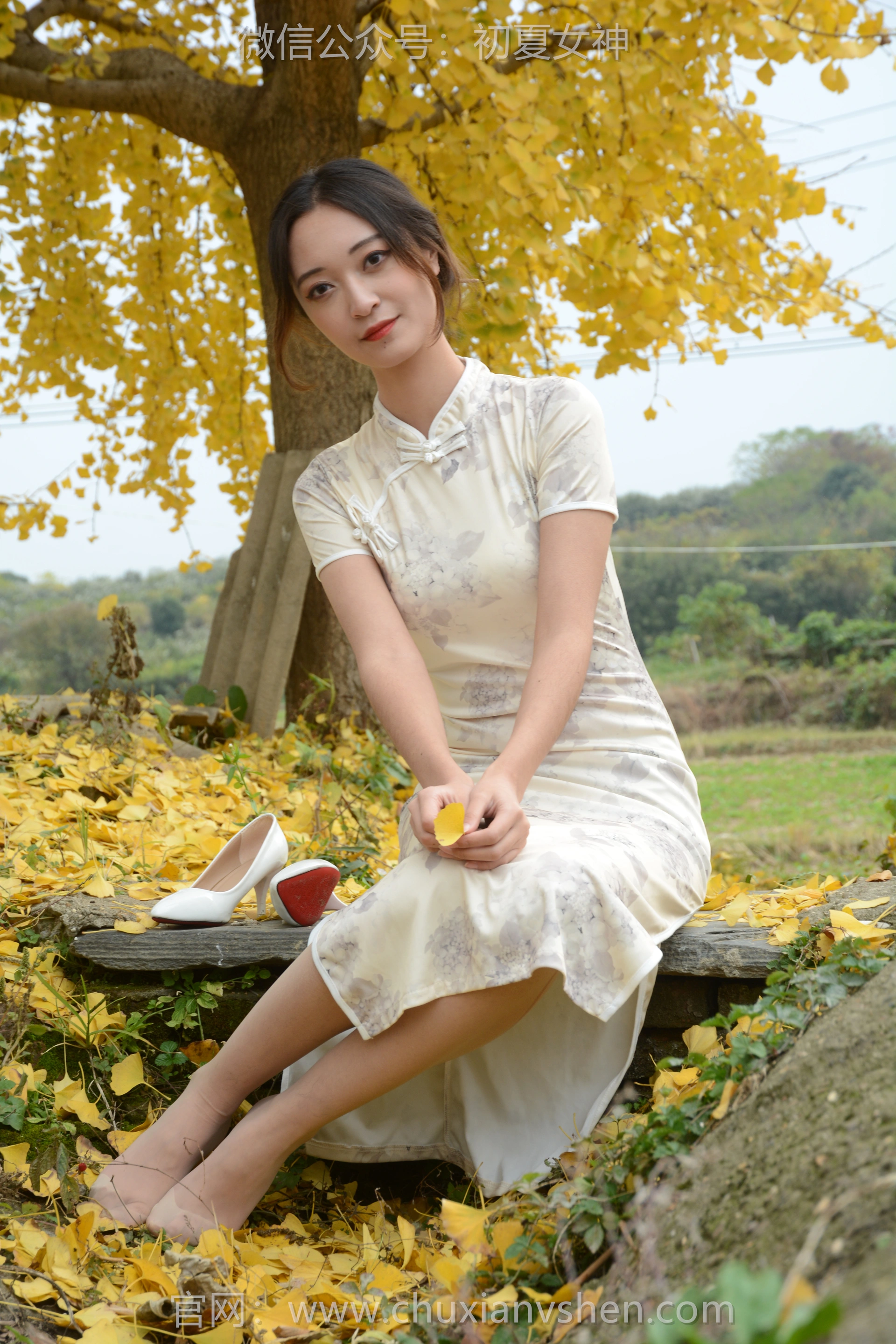 初夏女神 NO.120 依依 寒冬旗袍风[140P+1V／3.27GB]