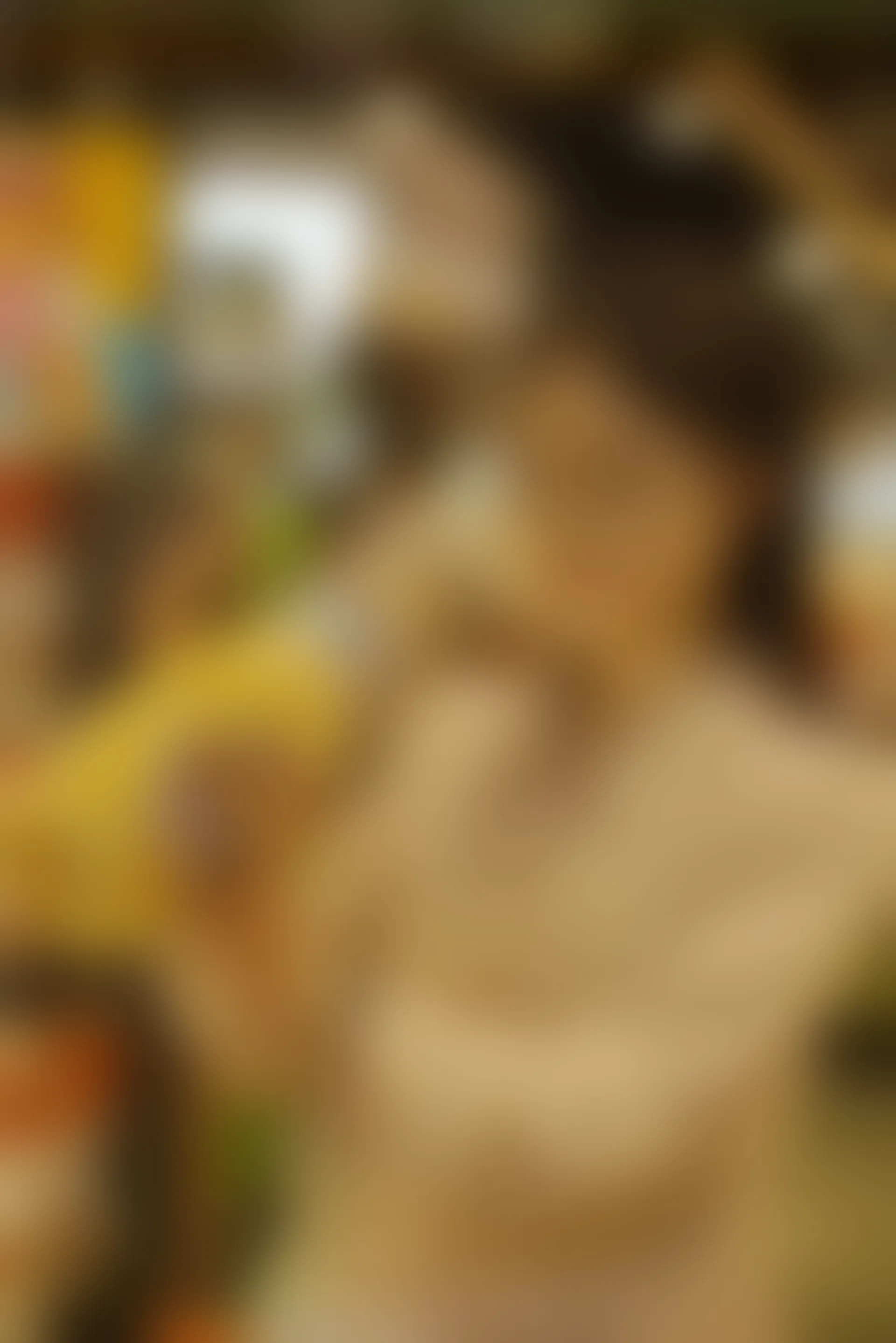初夏女神 NO.077 双双 偶遇学姐 周末逛商场[120P+1V／6.90GB]