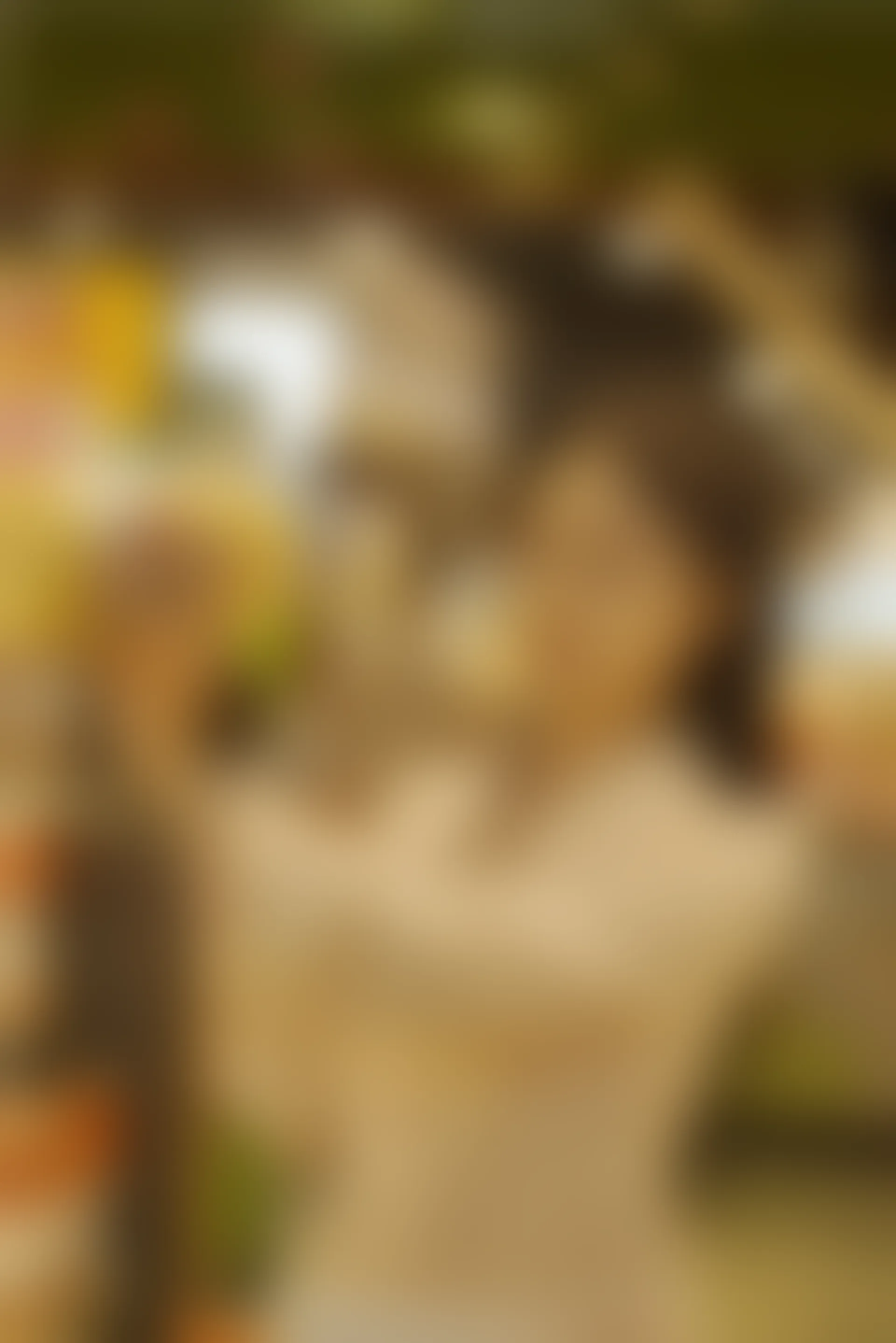 初夏女神 NO.077 双双 偶遇学姐 周末逛商场[120P+1V／6.90GB]