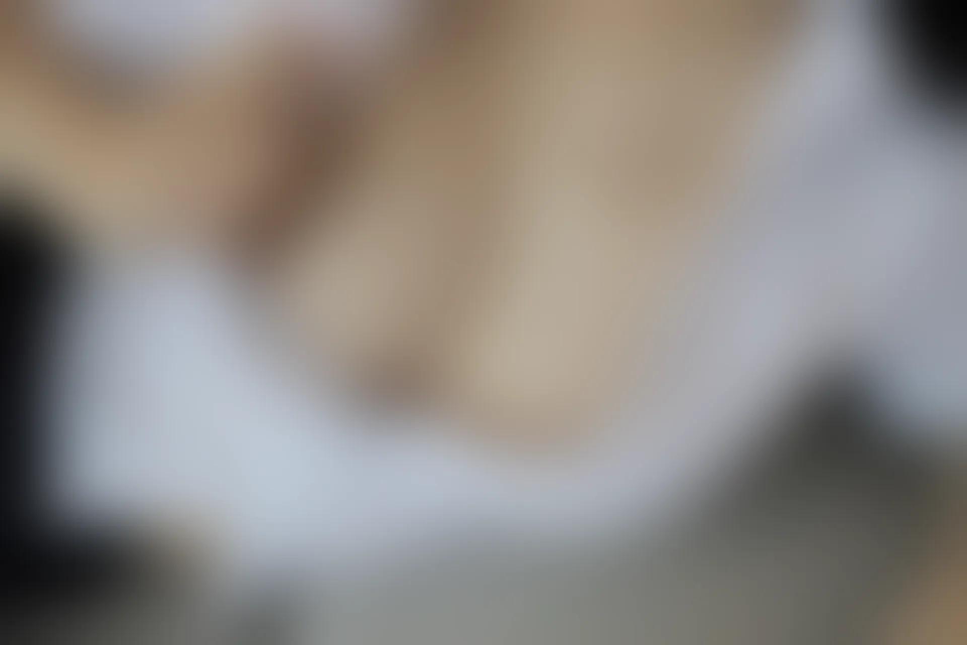 XIUREN秀人网 2024.03.04 NO.8173 陈小花[83+1P／690MB]