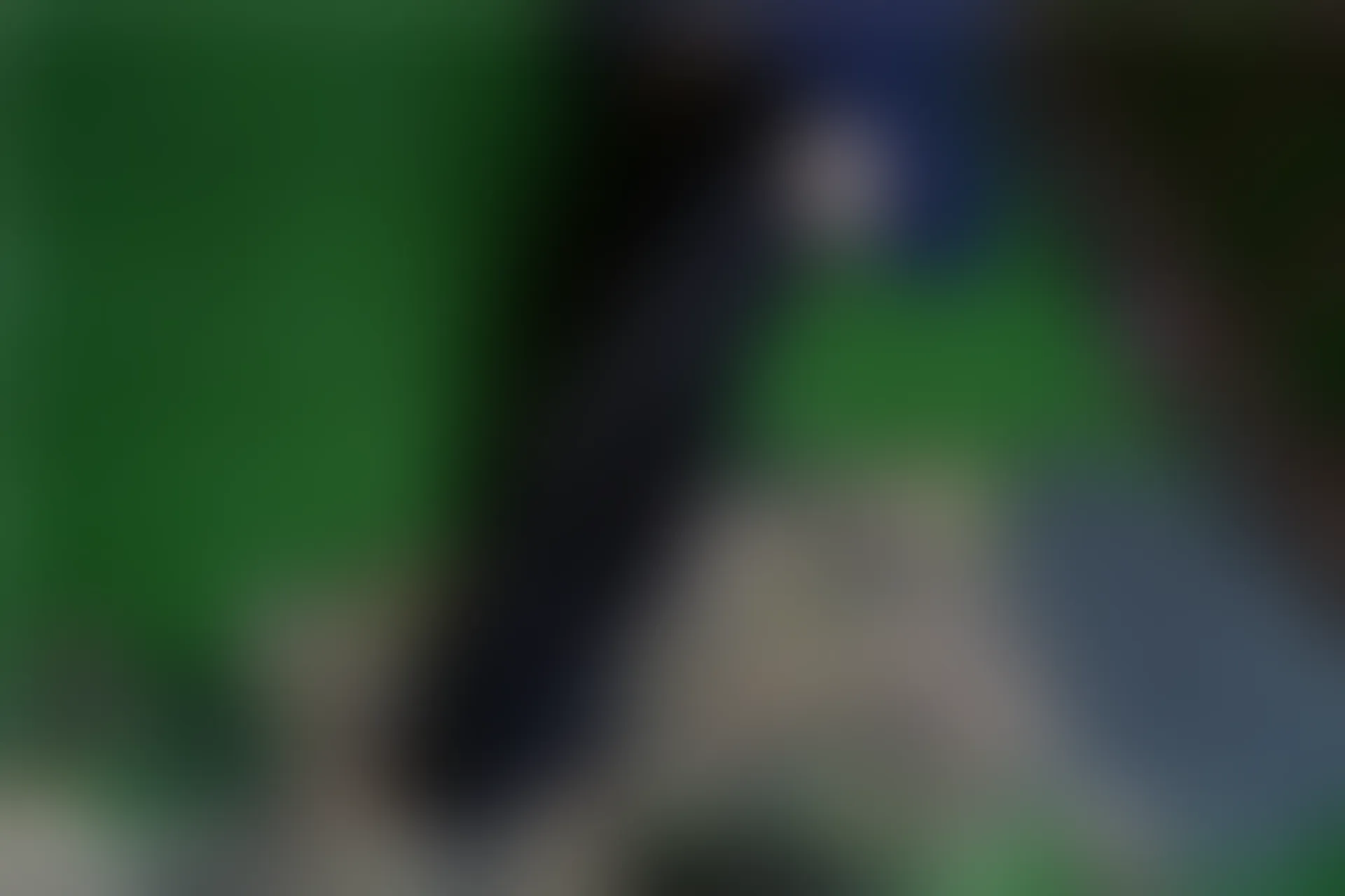 C01.005 黑色魅惑 [40P-175MB]