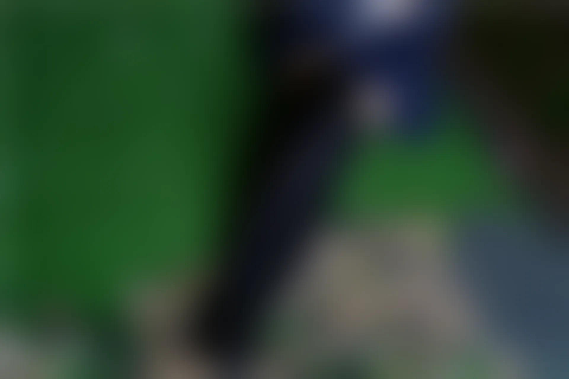 C01.005 黑色魅惑 [40P-175MB]