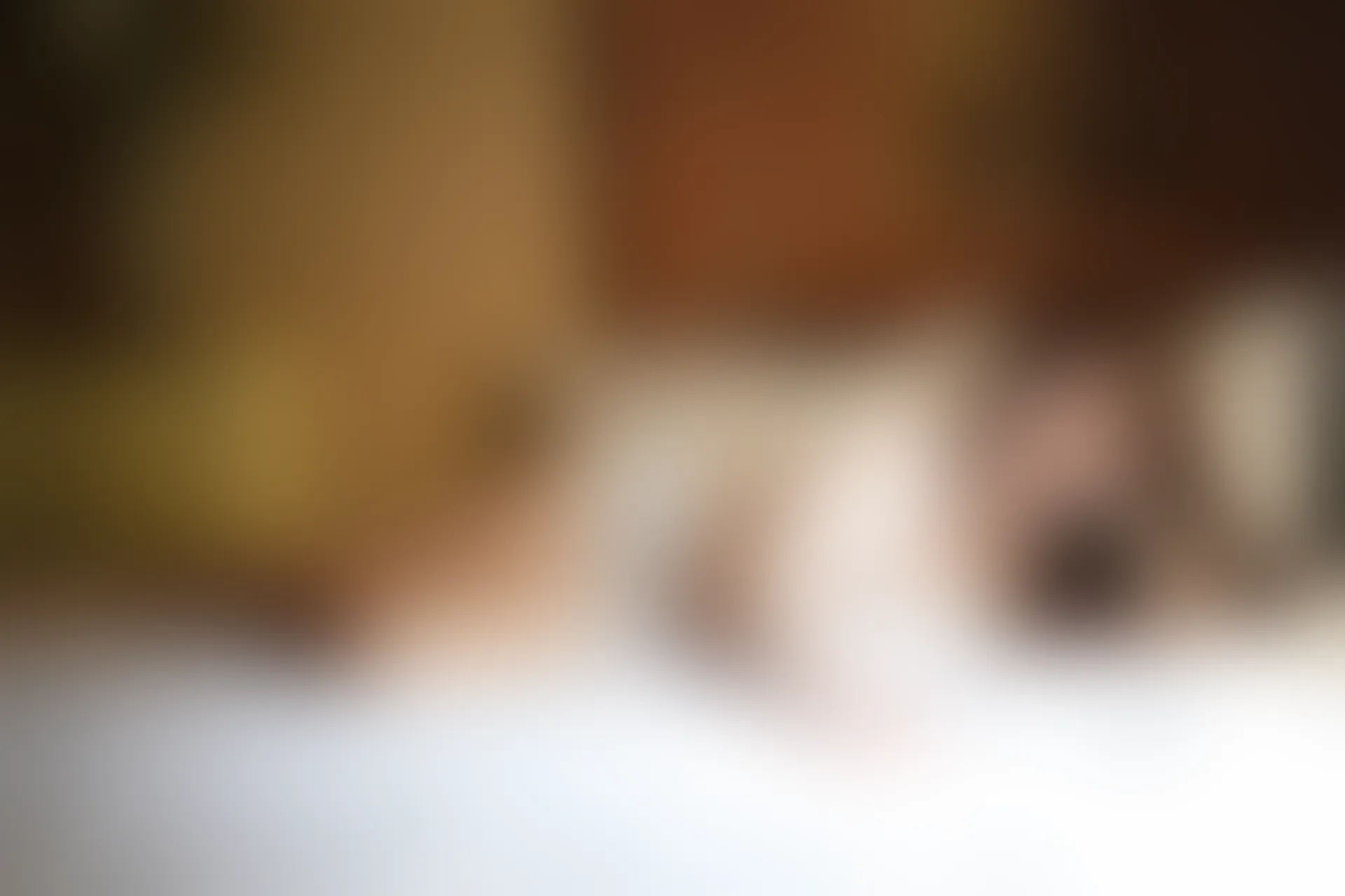 XiuRen秀人网 2015.02.05 No.294 高溜MilkCat [62P219MB]