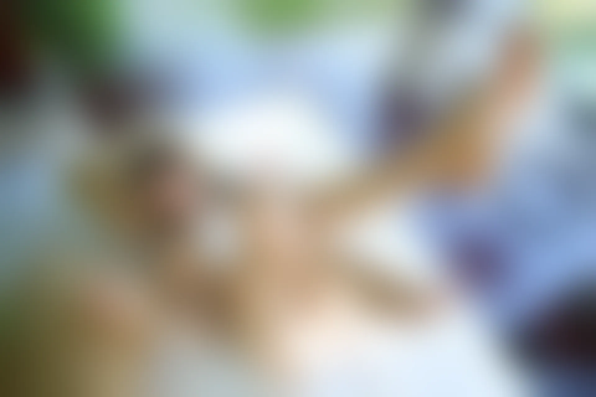 XiuRen秀人网 2014.06.16 No.158 许诺Sabrina [65P266MB]