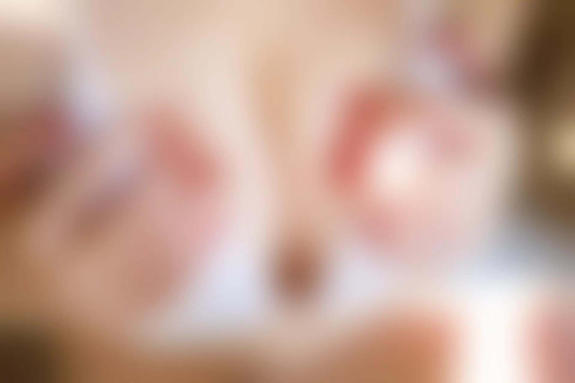 XiuRen秀人网 2014.06.16 No.158 许诺Sabrina [65P266MB]