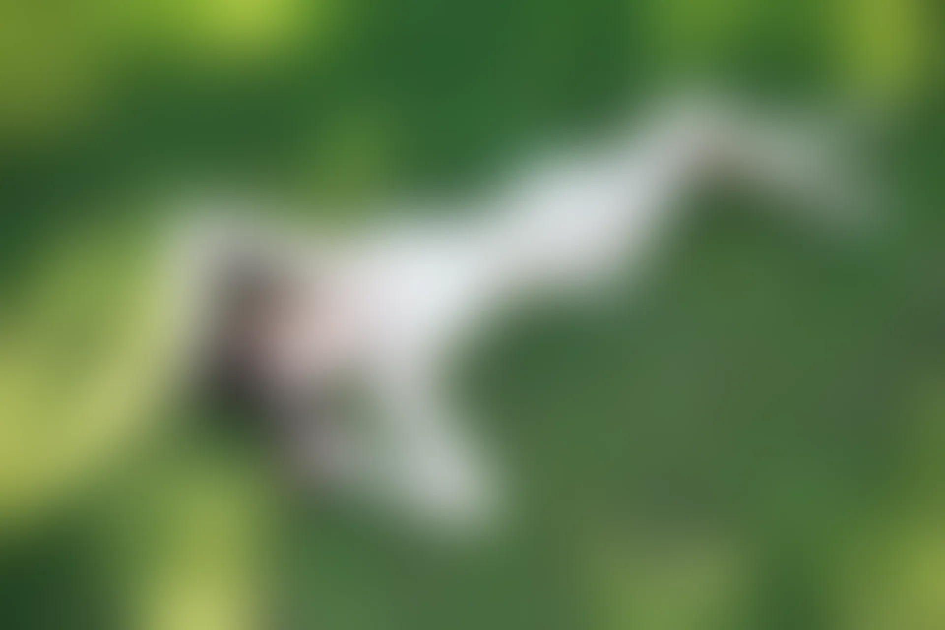 XiuRen秀人网 2014.06.16 No.158 许诺Sabrina [65P266MB]
