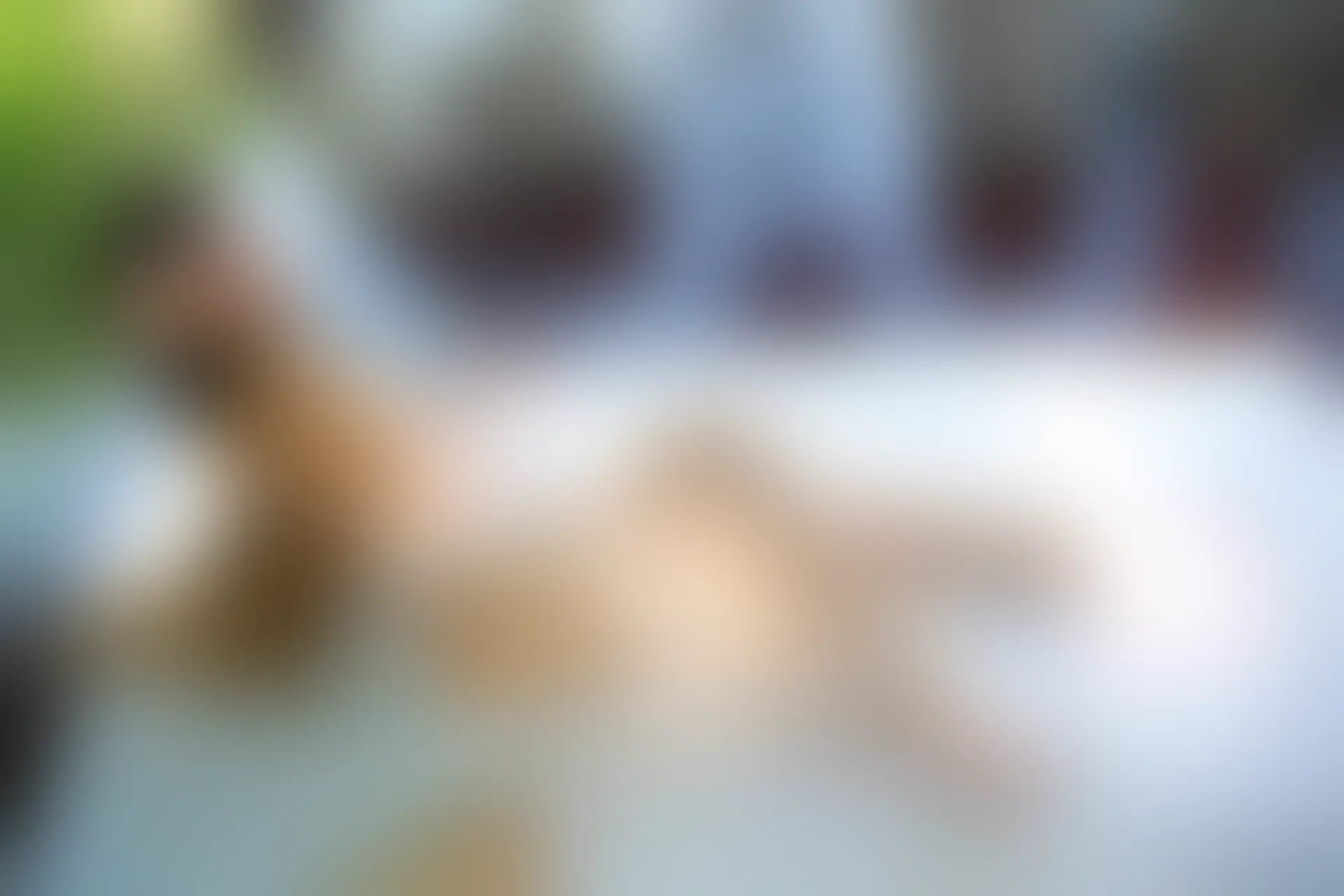 XiuRen秀人网 2014.06.16 No.158 许诺Sabrina [65P266MB]