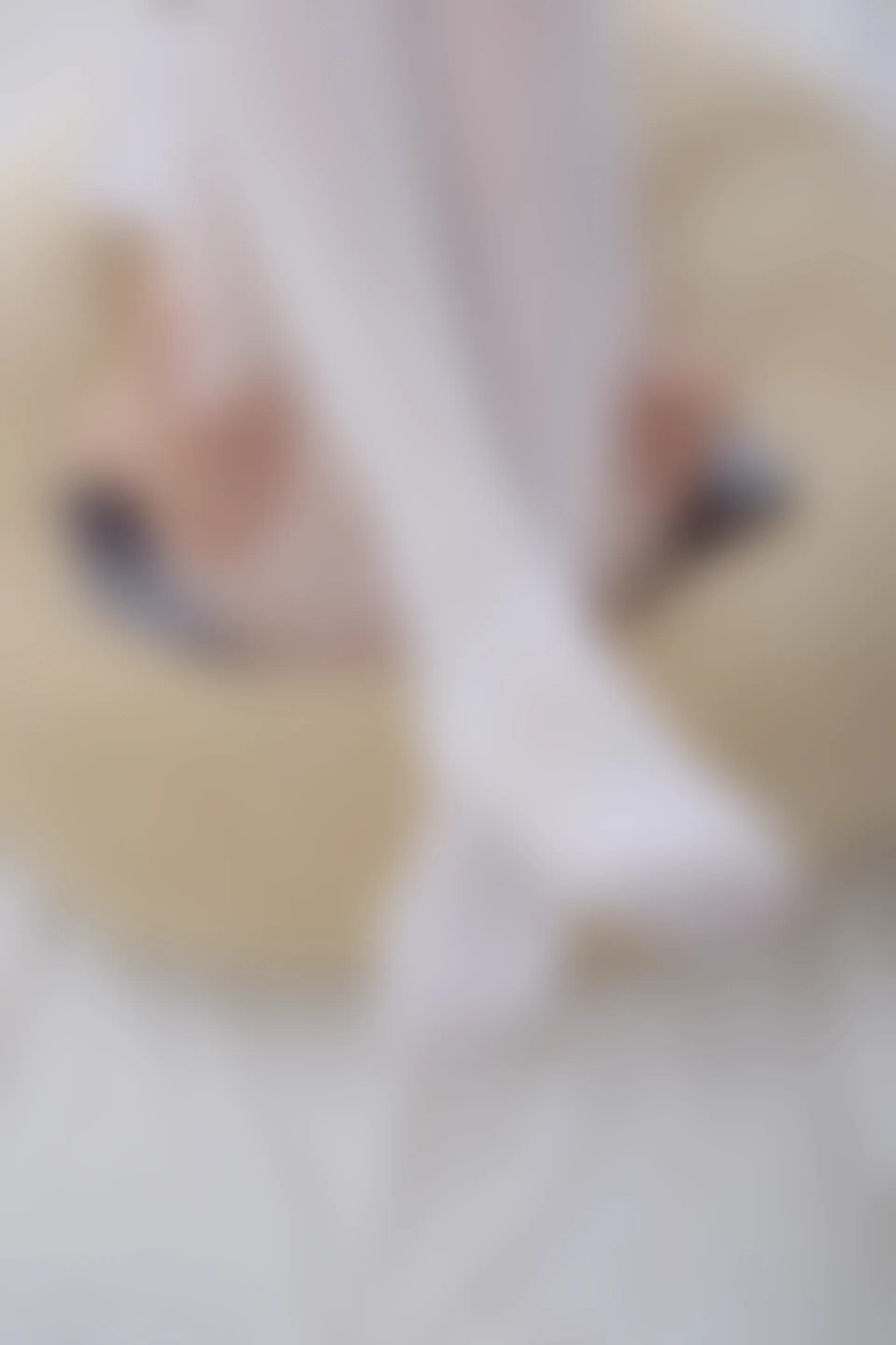 森萝财团 R15-025 [75P-314M]学生装, 森萝财团, 白丝, 美腿