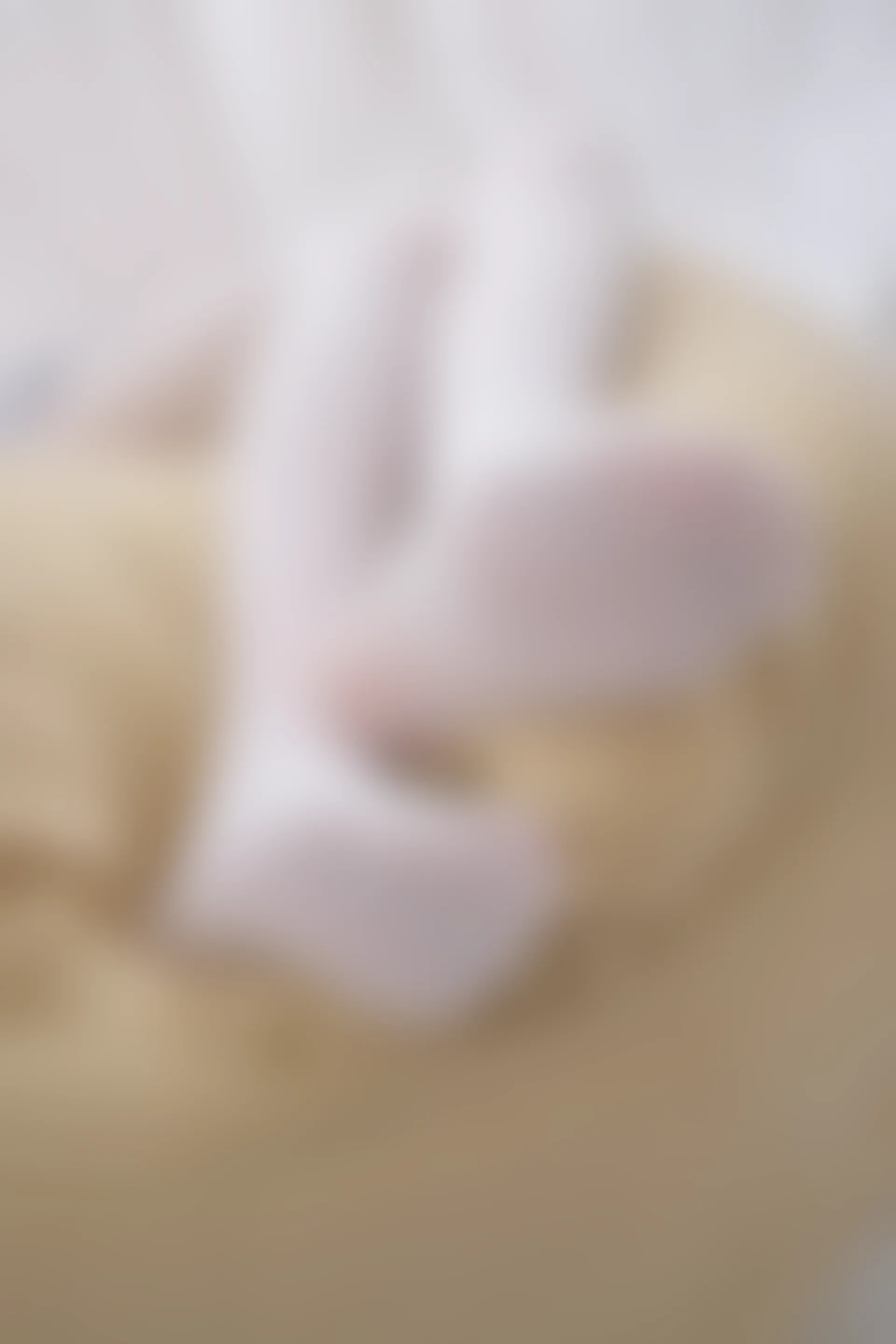 森萝财团 R15-025 [75P-314M]学生装, 森萝财团, 白丝, 美腿