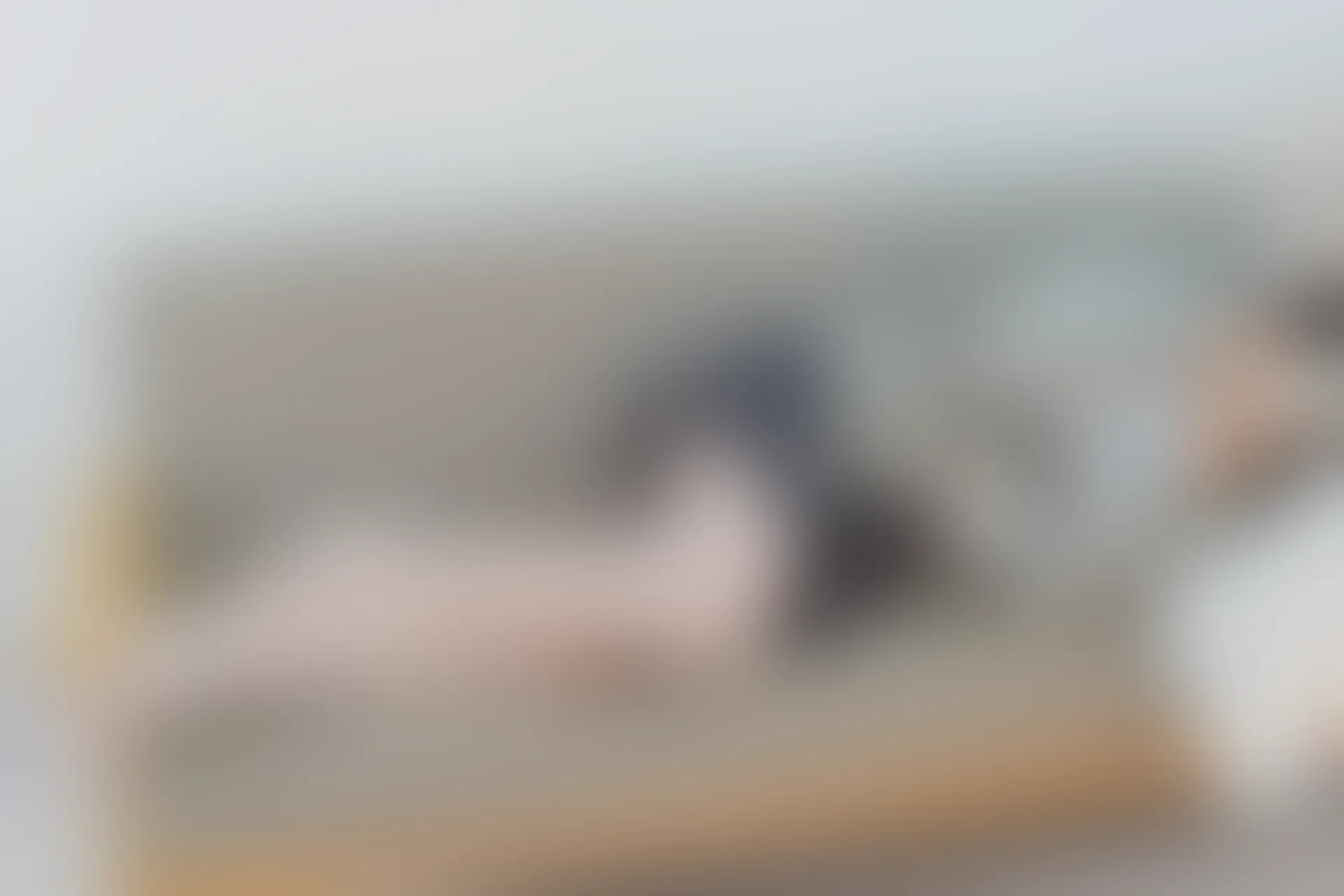 森萝财团 有料-28 [101P-1.14G]JK, JK制服, 学生装, 旗袍, 有料, 校服, 森萝财团, 白丝, 美腿, 美足
