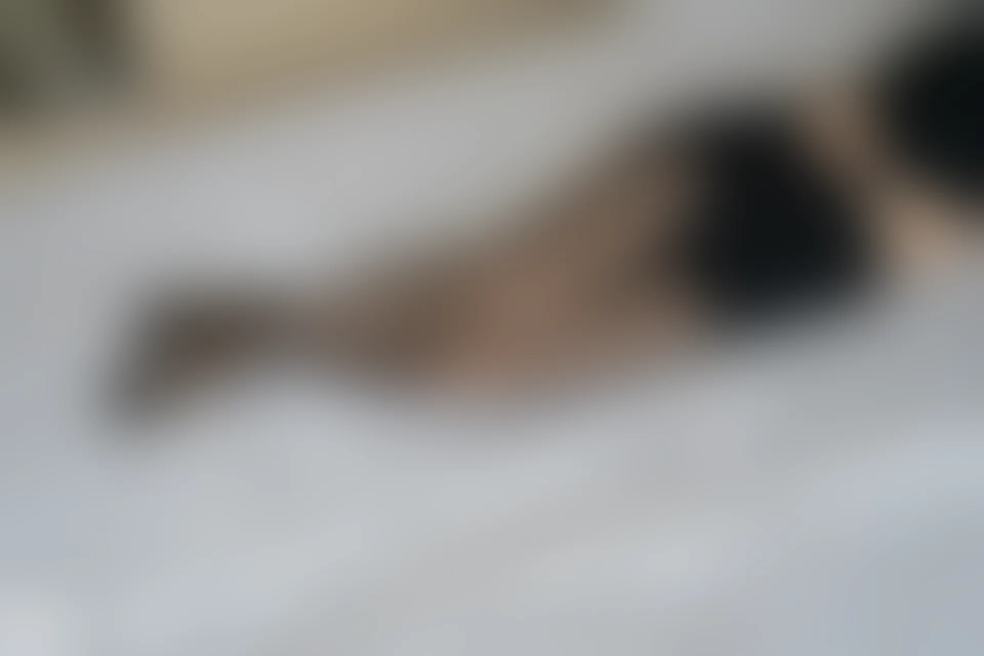 D53.005 黑丝短裤 [40P-80MB]