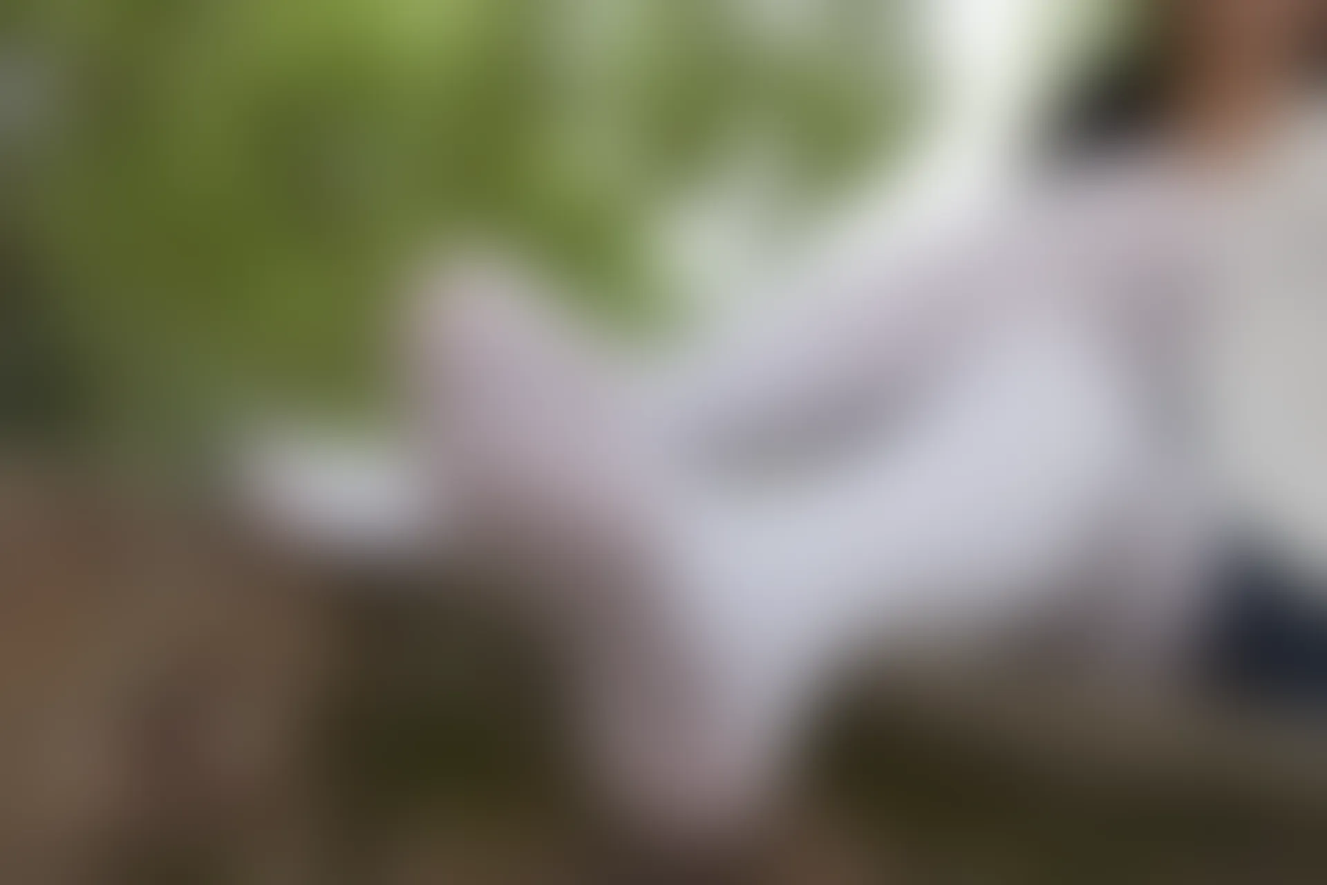森萝财团 R15-034 [102P-694M]学生装, 森萝财团, 白丝, 美腿