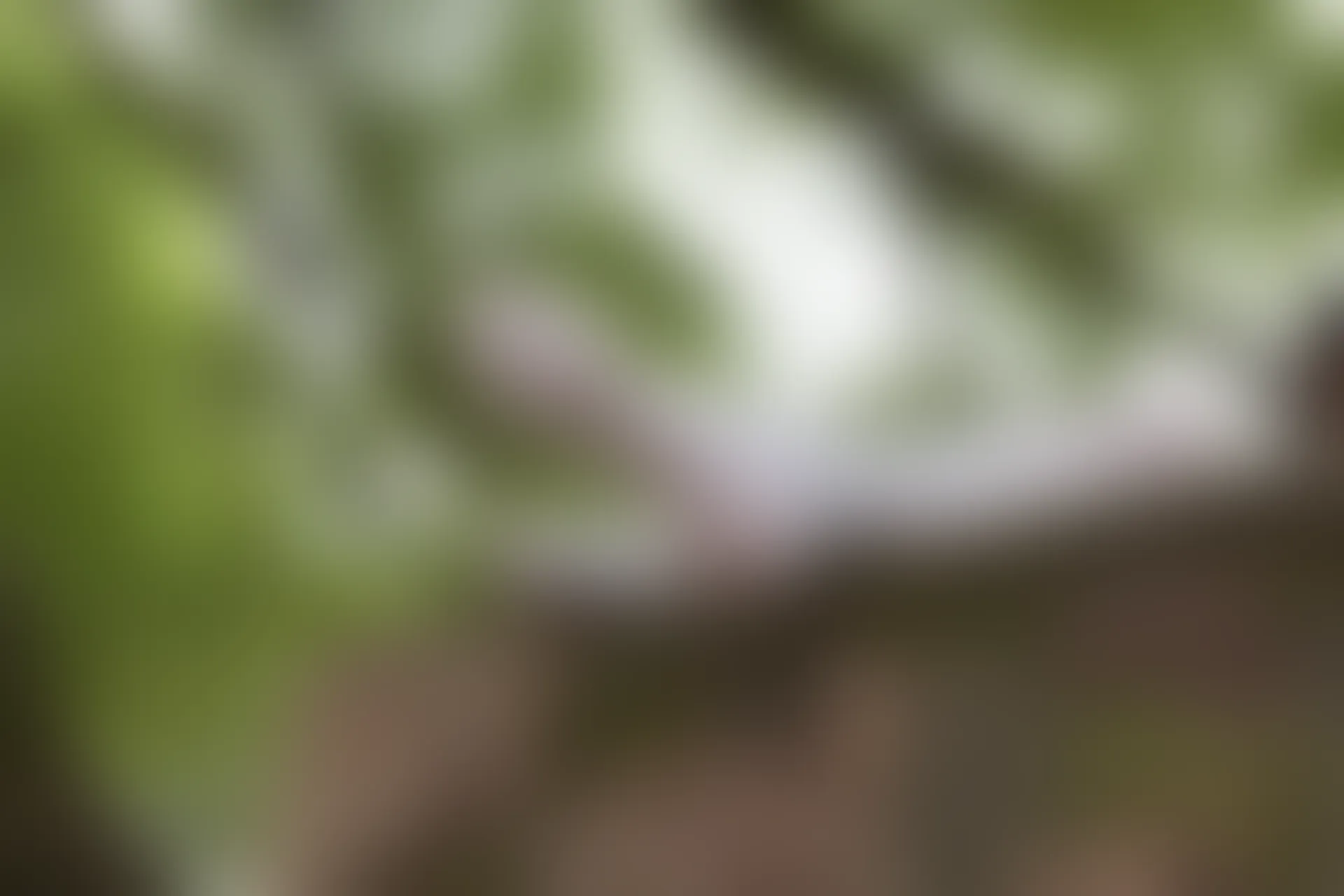 森萝财团 R15-034 [102P-694M]学生装, 森萝财团, 白丝, 美腿