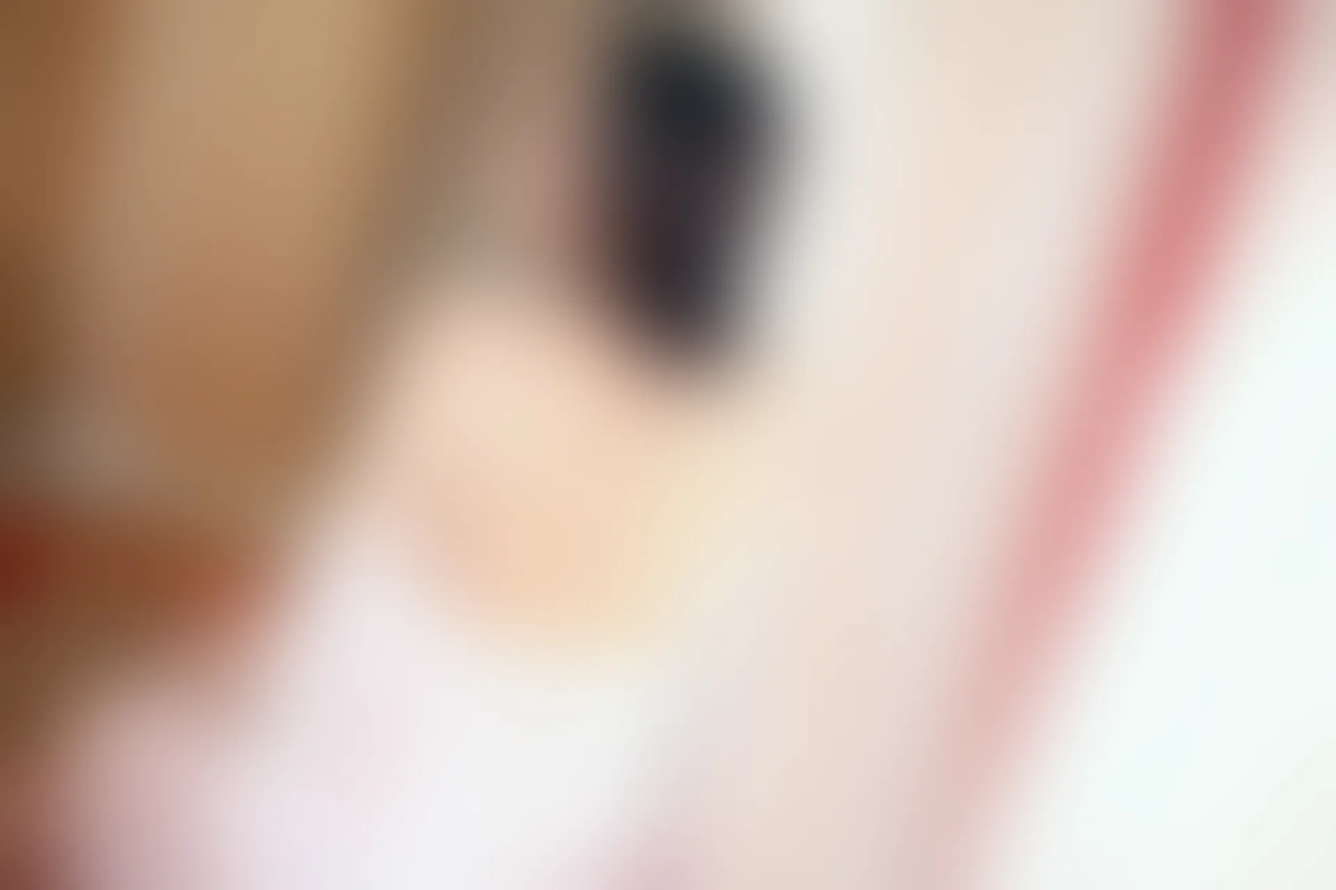 XiuRen秀人网 2015.06.24 No.343 Jennifer小若[66+1P224M]