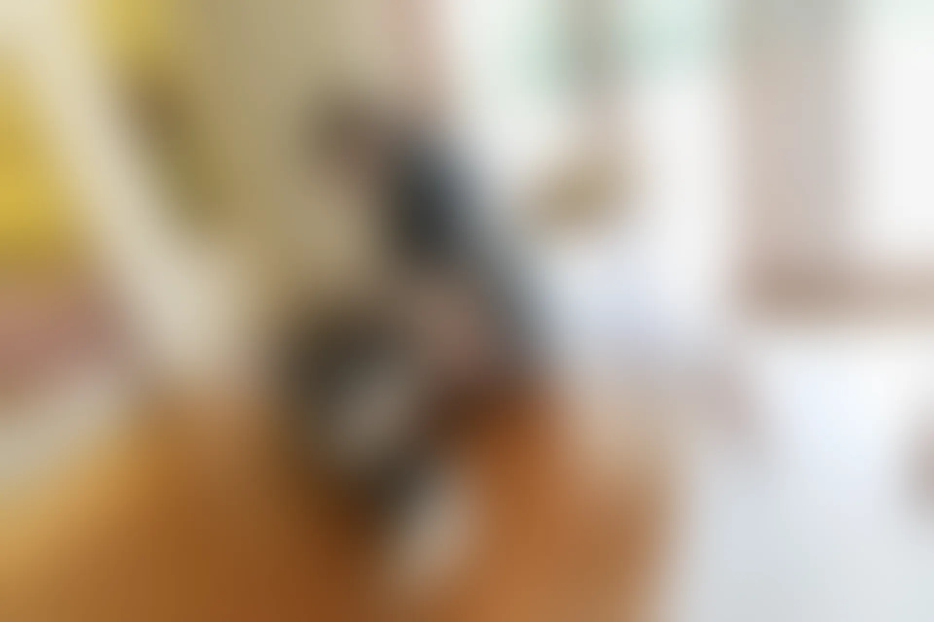 [YouMi尤蜜荟] 2019.04.04 VOL.290 奶瓶土肥圆矮挫丑黑穷[70+1P／177M]