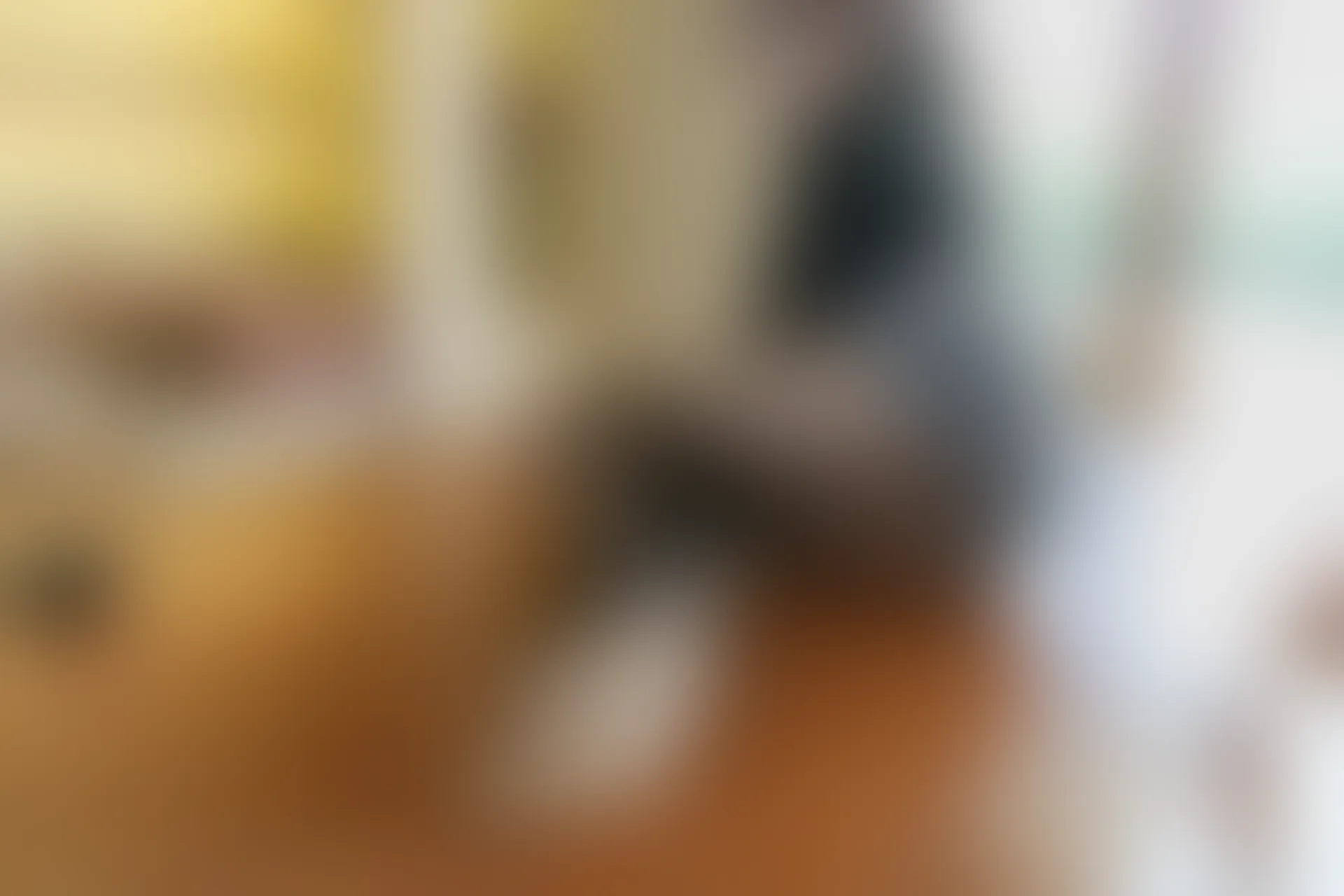 [YouMi尤蜜荟] 2019.04.04 VOL.290 奶瓶土肥圆矮挫丑黑穷[70+1P／177M]
