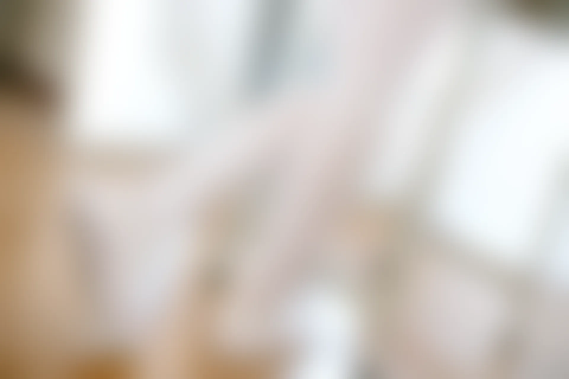 森萝财团 X-002 [105P1V-1.48G]美腿, 肉丝