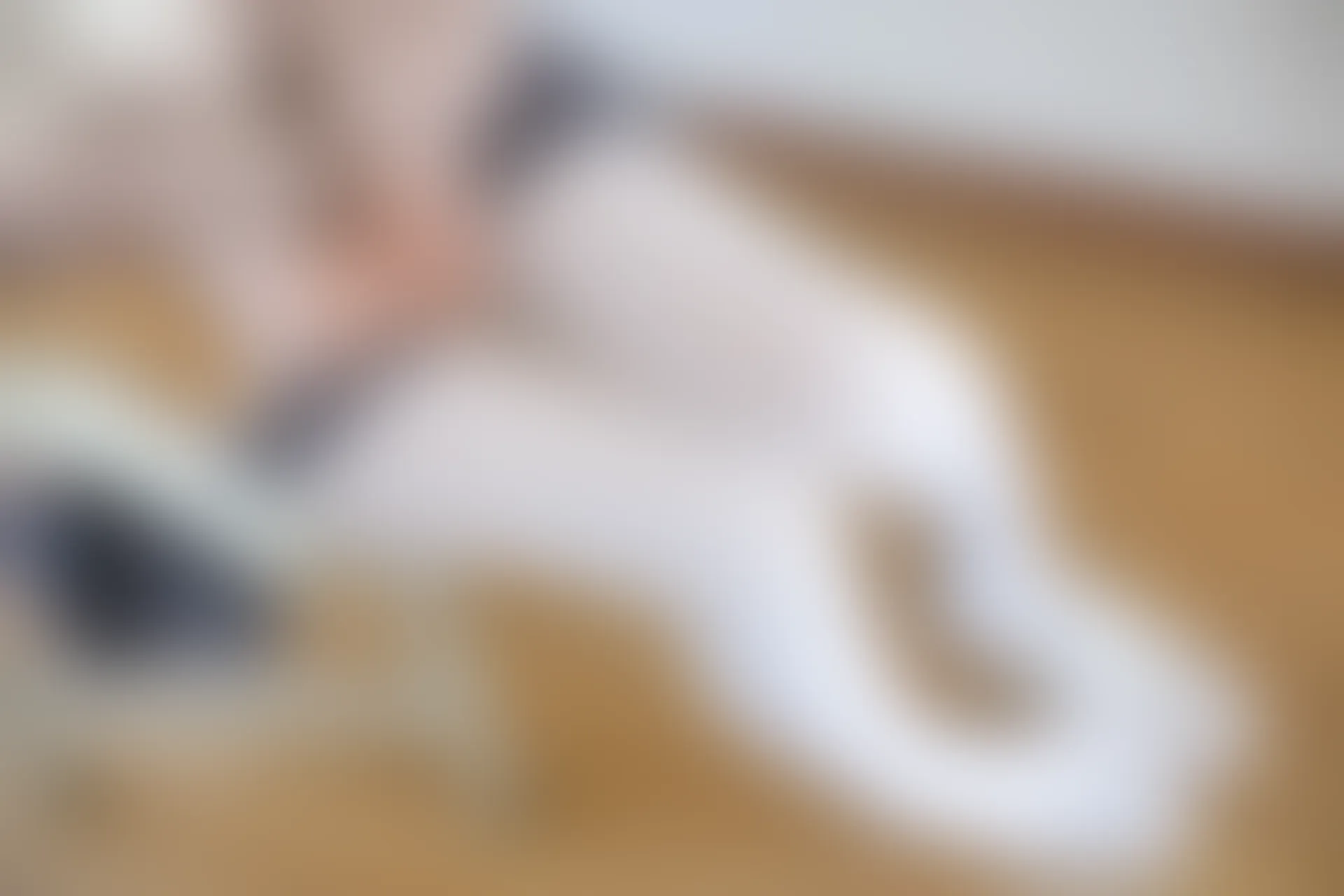 森萝财团 X-002 [105P1V-1.48G]美腿, 肉丝