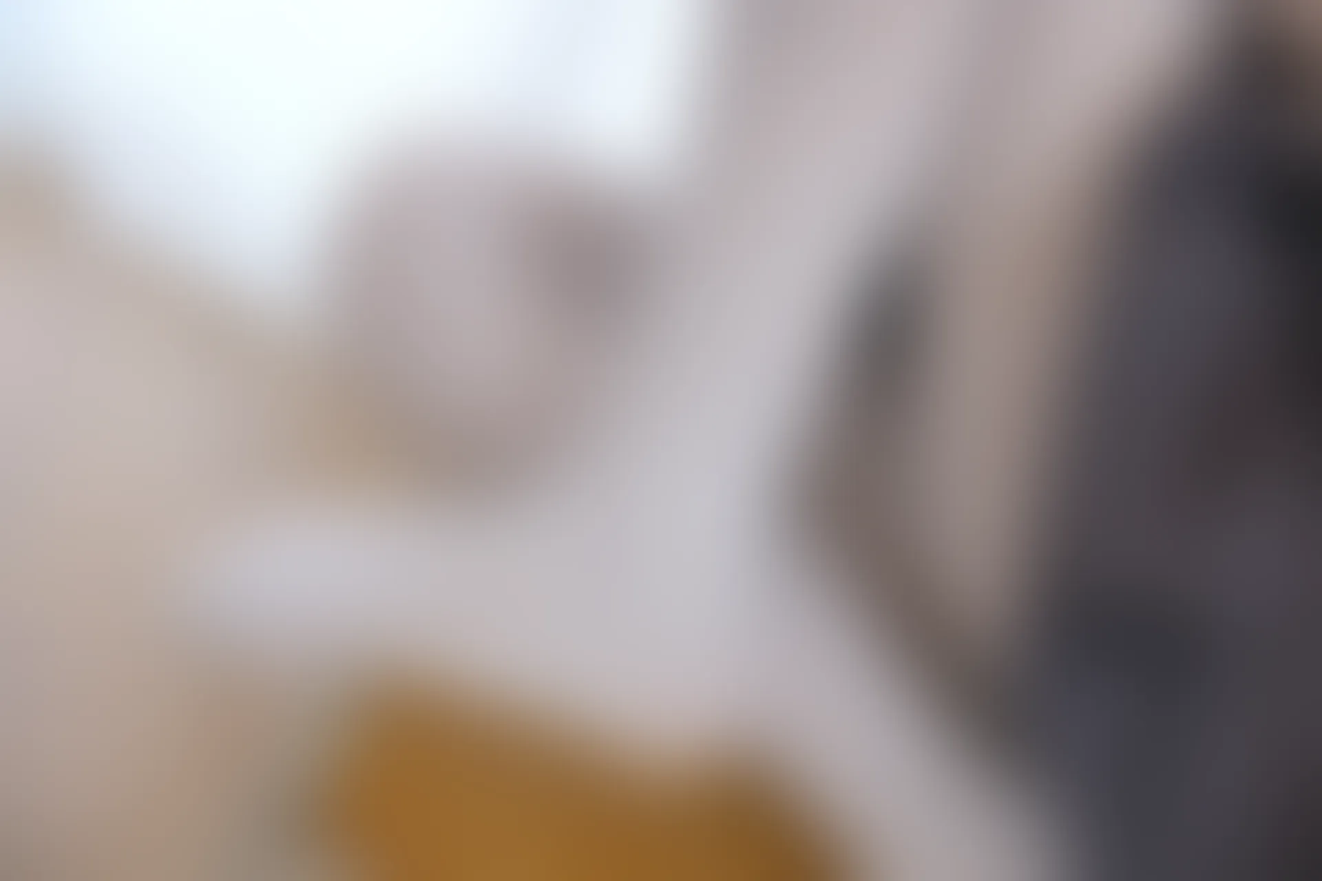 森萝财团 X-002 [105P1V-1.48G]美腿, 肉丝