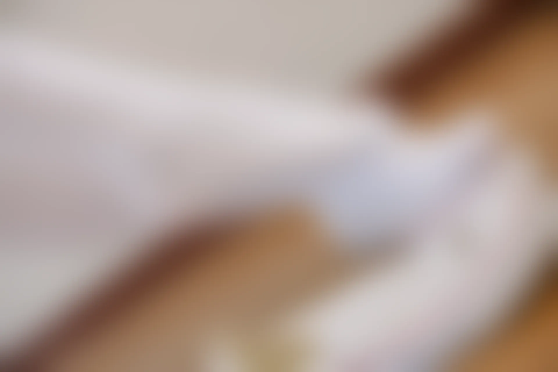 森萝财团 X-002 [105P1V-1.48G]美腿, 肉丝