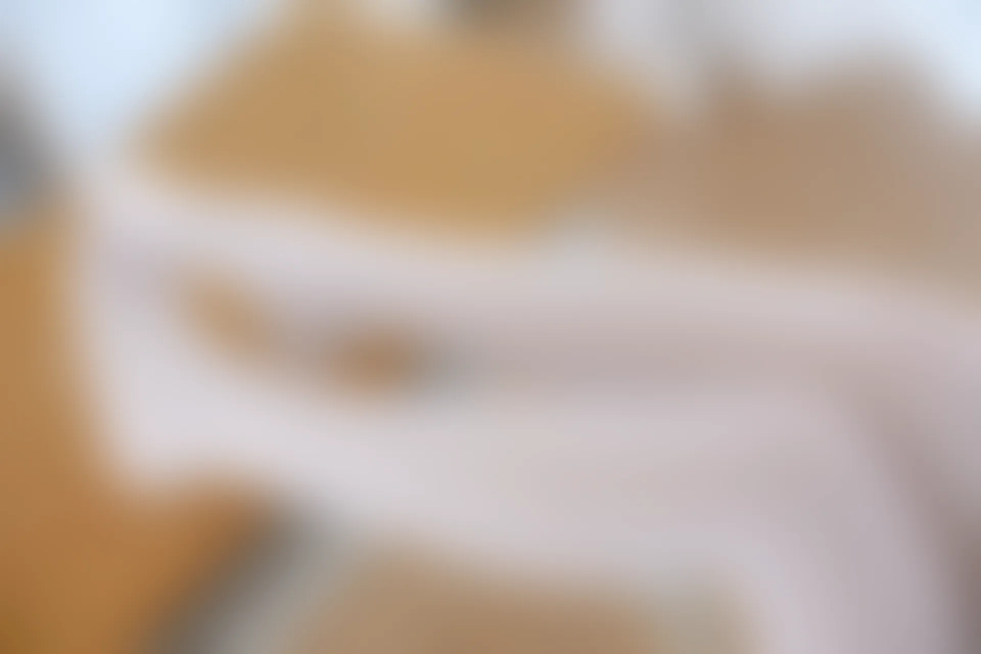 森萝财团 X-002 [105P1V-1.48G]美腿, 肉丝