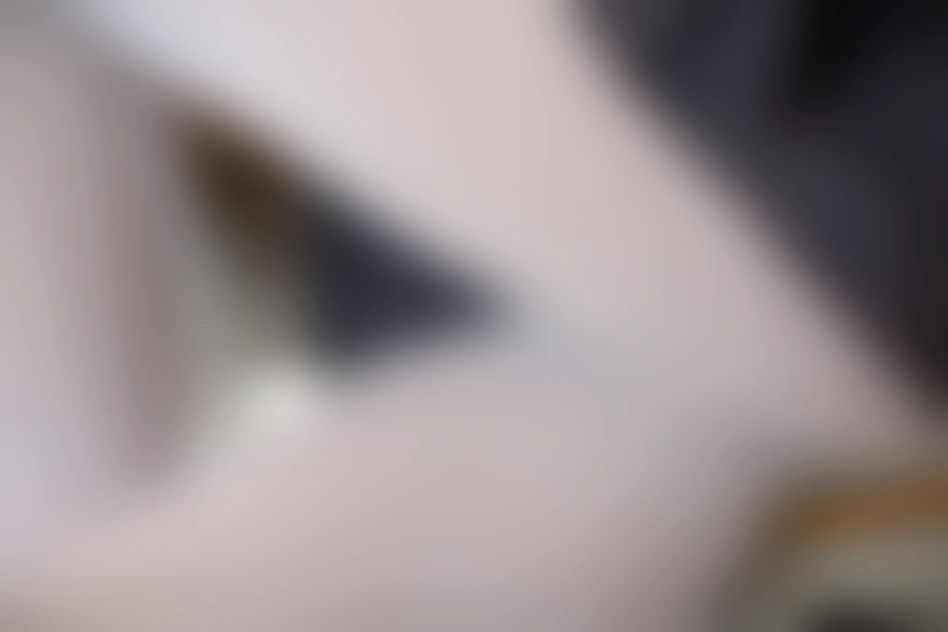 森萝财团 X-002 [105P1V-1.48G]美腿, 肉丝