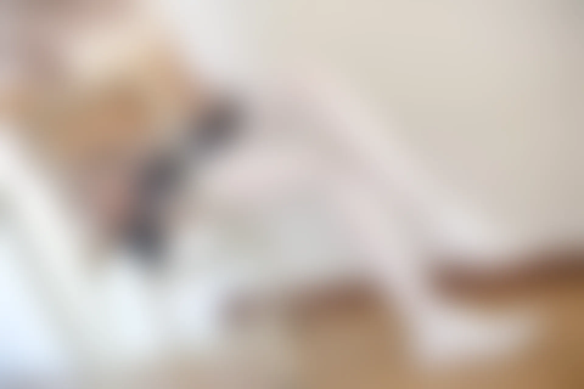 森萝财团 X-002 [105P1V-1.48G]美腿, 肉丝