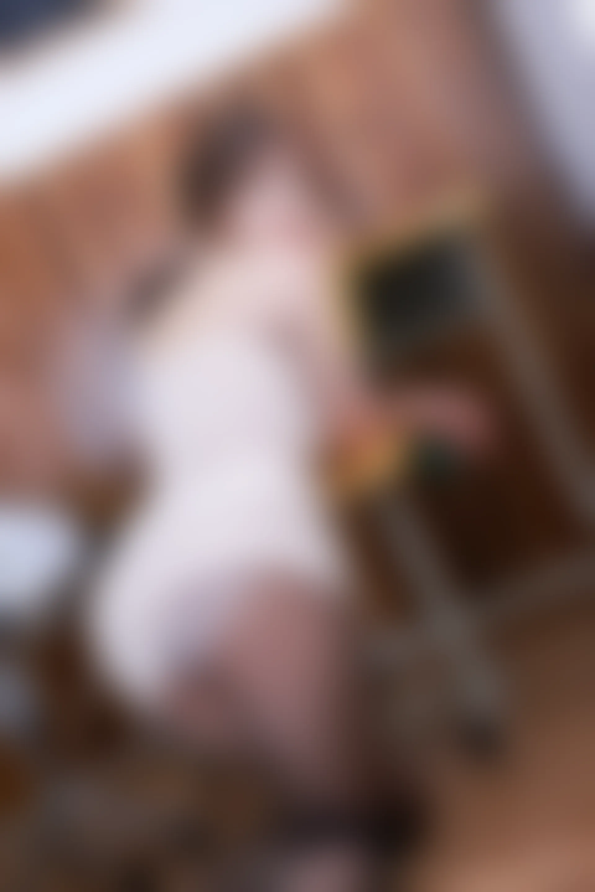 XiuRen秀人网 2021.10.19 No.4082 奈沐子[54+1P／506MB]
