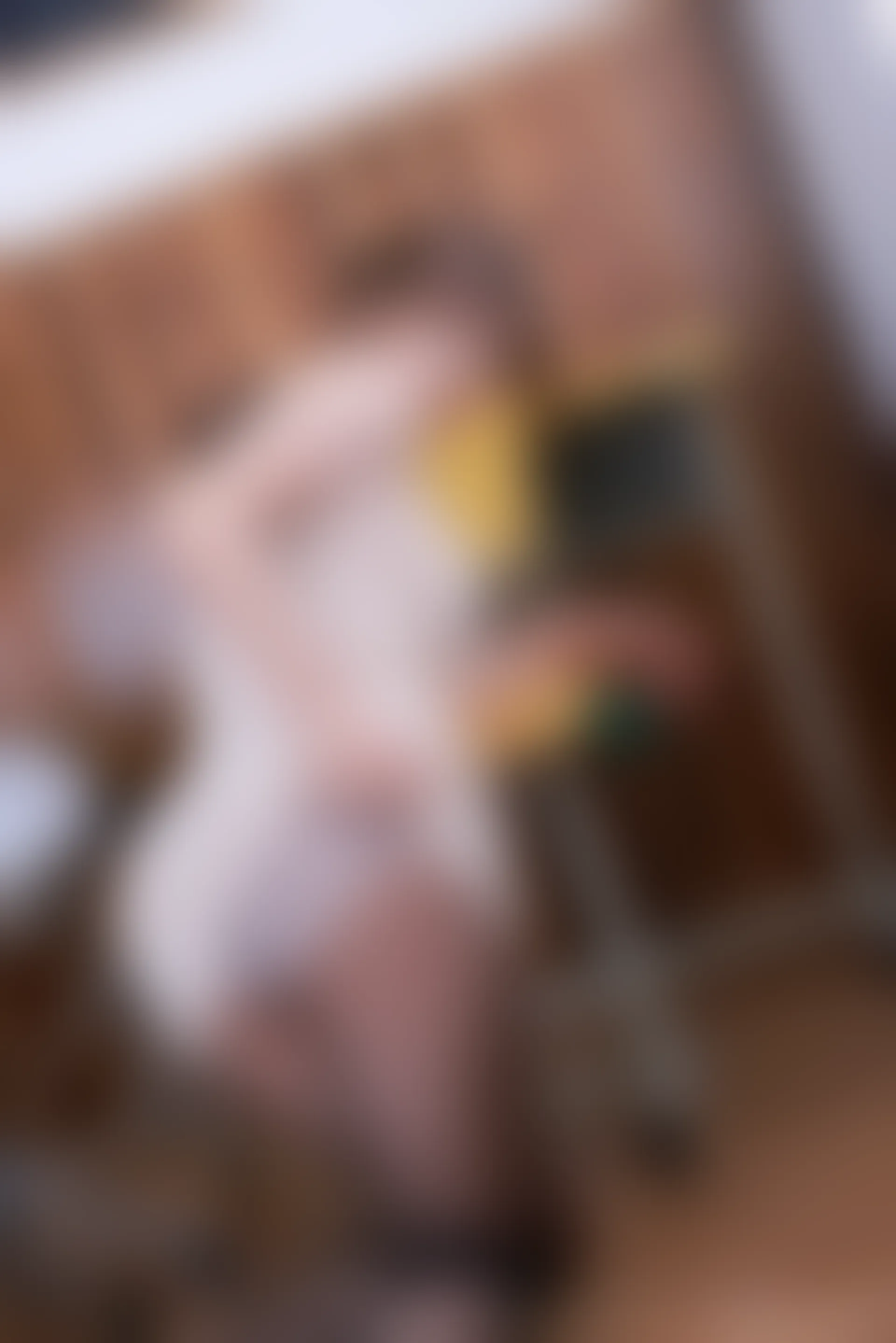 XiuRen秀人网 2021.10.19 No.4082 奈沐子[54+1P／506MB]
