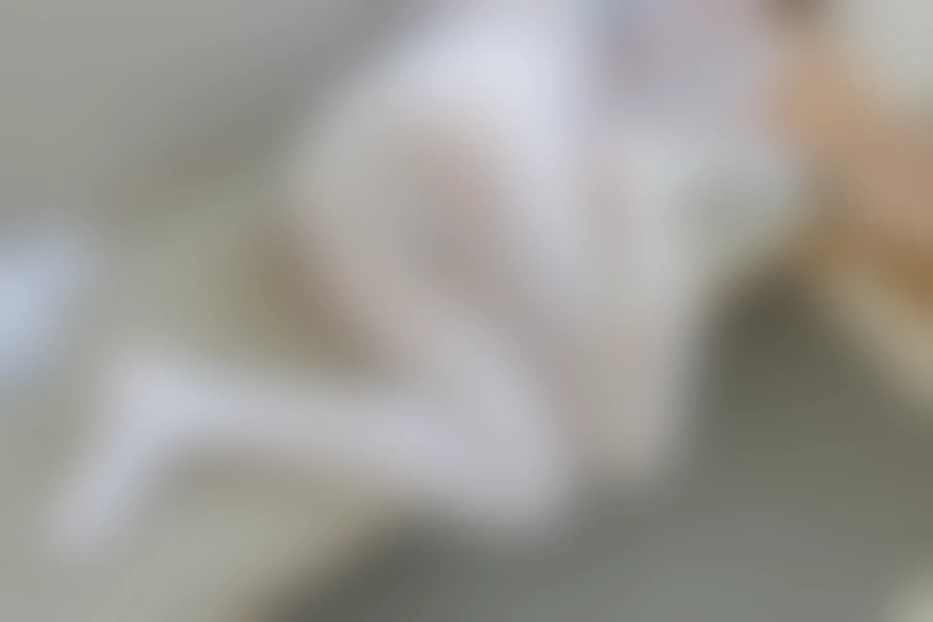 森萝财团 内部-006 沙发上的双马尾白丝睡衣美少女 [104P1V-3.39GB]