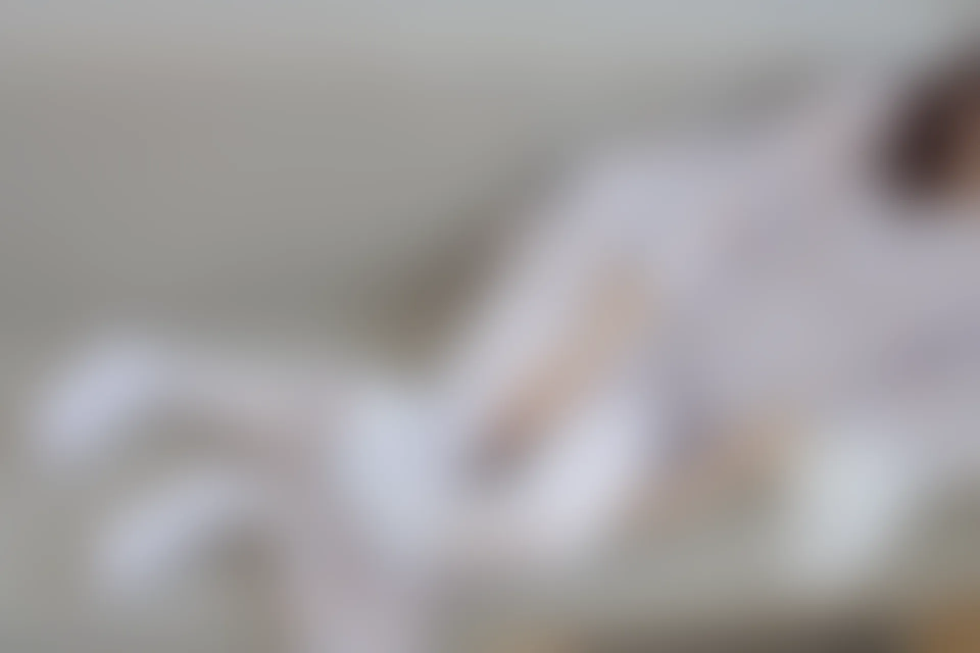 森萝财团 内部-006 沙发上的双马尾白丝睡衣美少女 [104P1V-3.39GB]