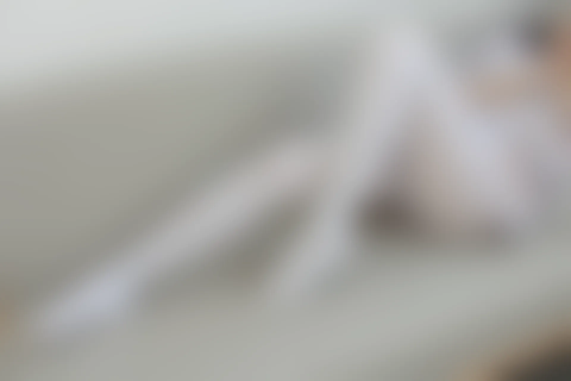 森萝财团 内部-006 沙发上的双马尾白丝睡衣美少女 [104P1V-3.39GB]