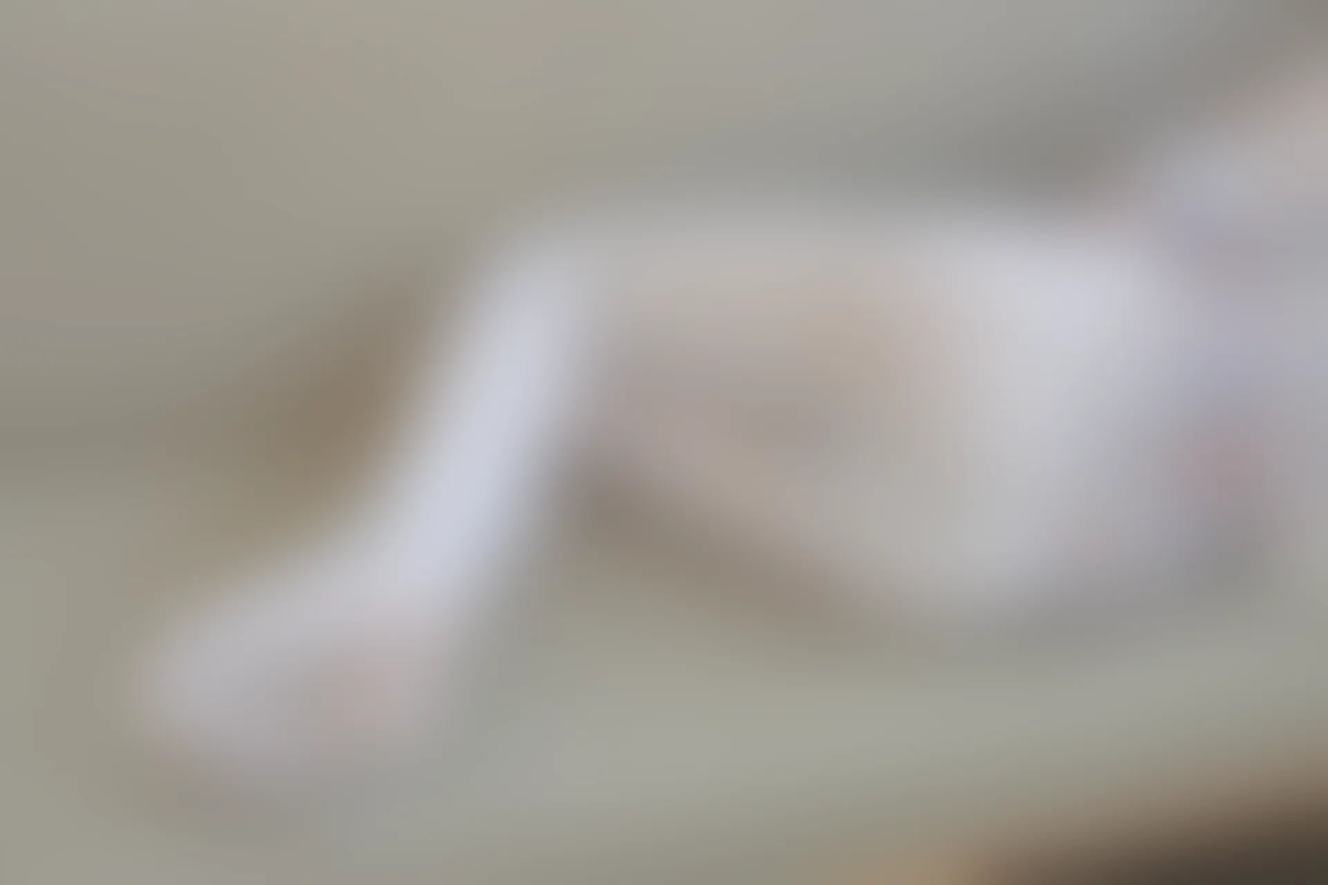 森萝财团 内部-006 沙发上的双马尾白丝睡衣美少女 [104P1V-3.39GB]