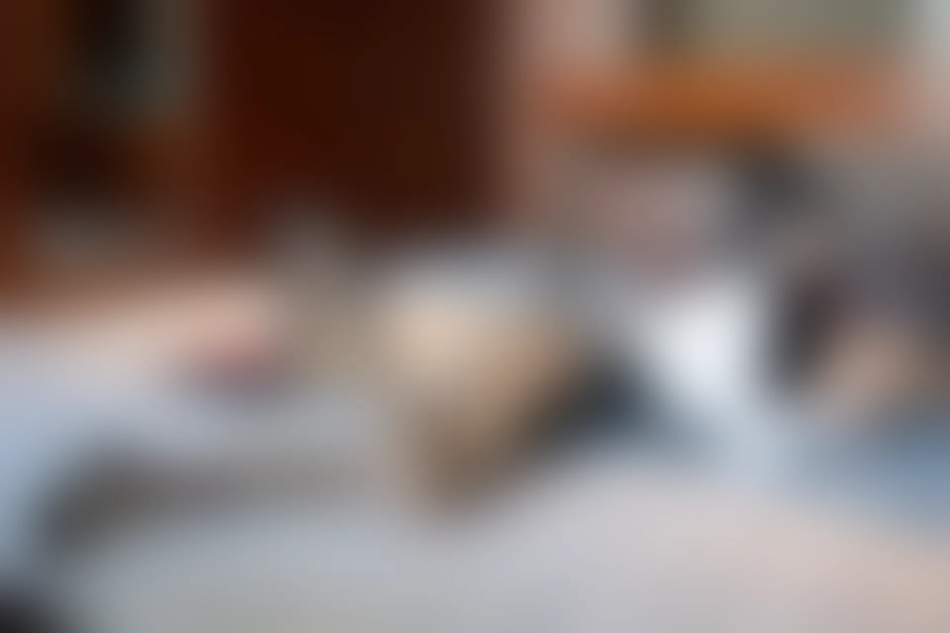 XiuRen秀人网 2021.11.12 No.4207 Emily尹菲 黑丝情趣[59+1P 591MB]