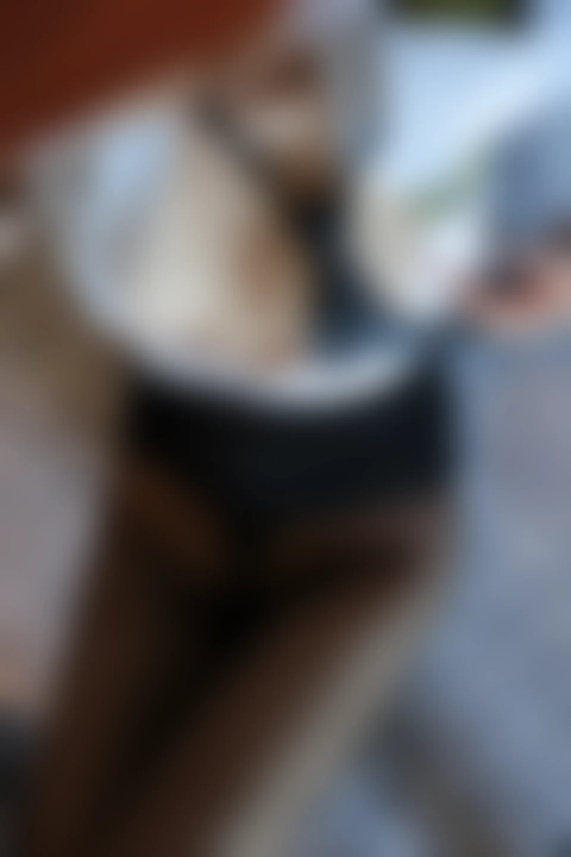 XiuRen秀人网 2021.11.12 No.4207 Emily尹菲 黑丝情趣[59+1P 591MB]