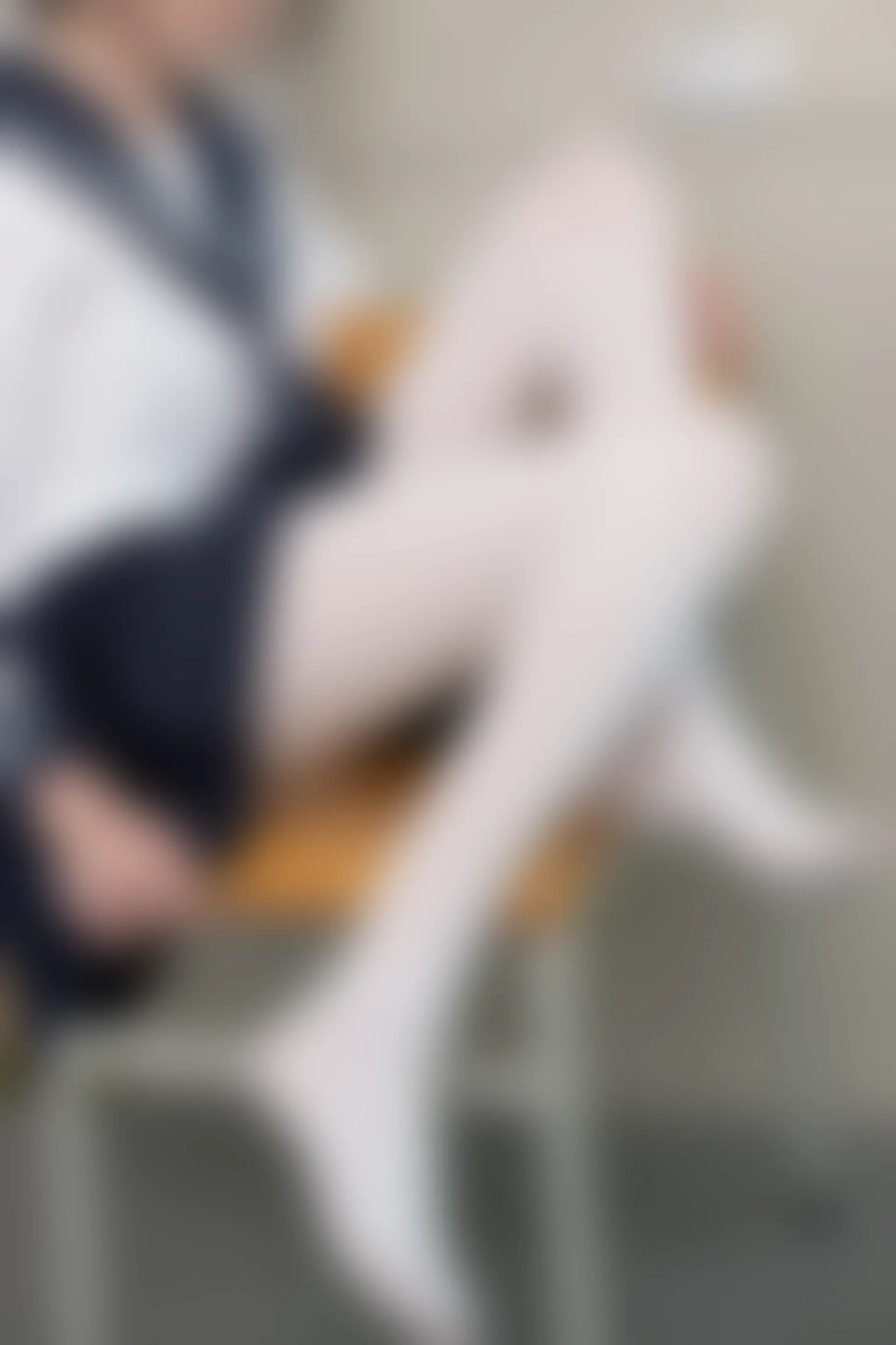 森萝财团 SSR-002 [75P-442M]Aika, 校服, 森萝财团, 白丝