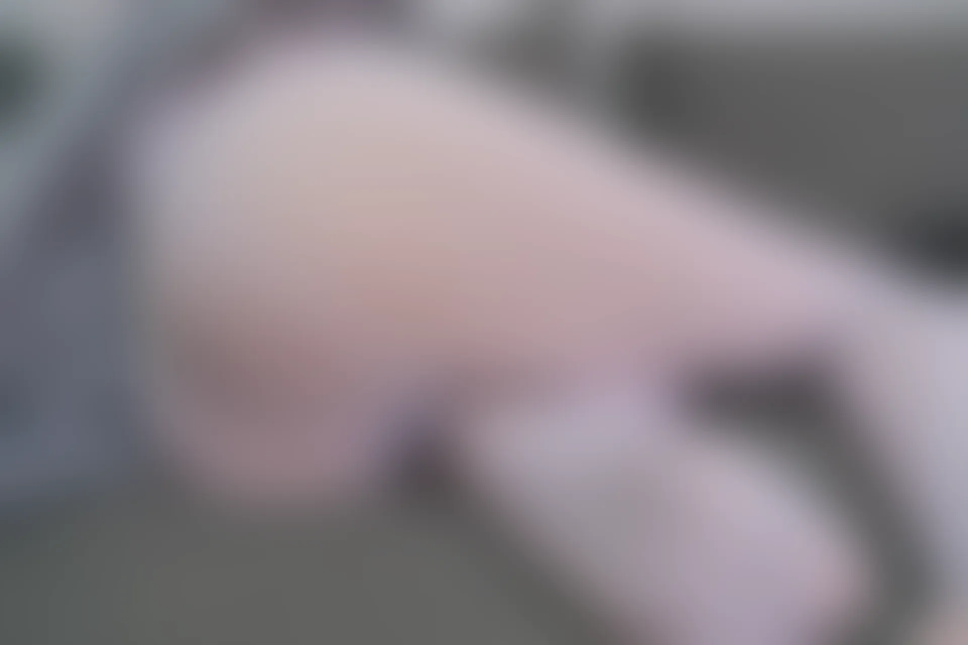 森萝财团 内部VIP系列 微风-01 白丝JK制服 [119P1V-3.49G]