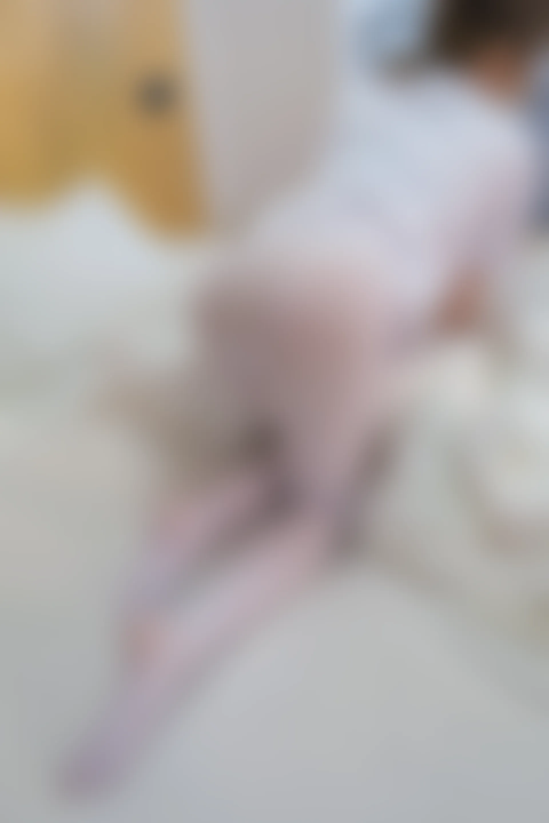 森萝财团 内部VIP系列 微风-01 白丝JK制服 [119P1V-3.49G]