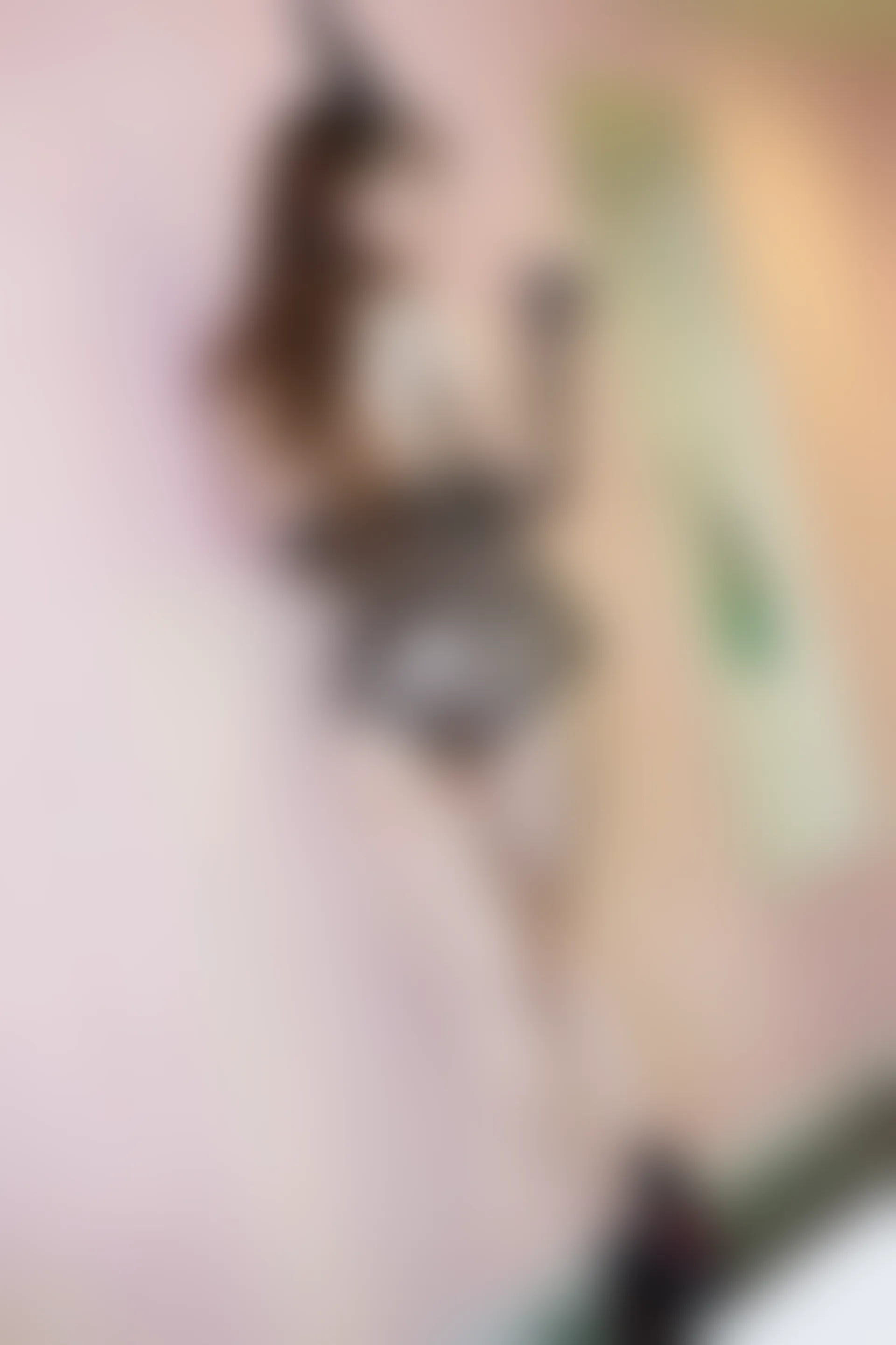 XiuRen秀人网 2015.08.25 No.385 妮婉Belinda [70P+1P197MB]
