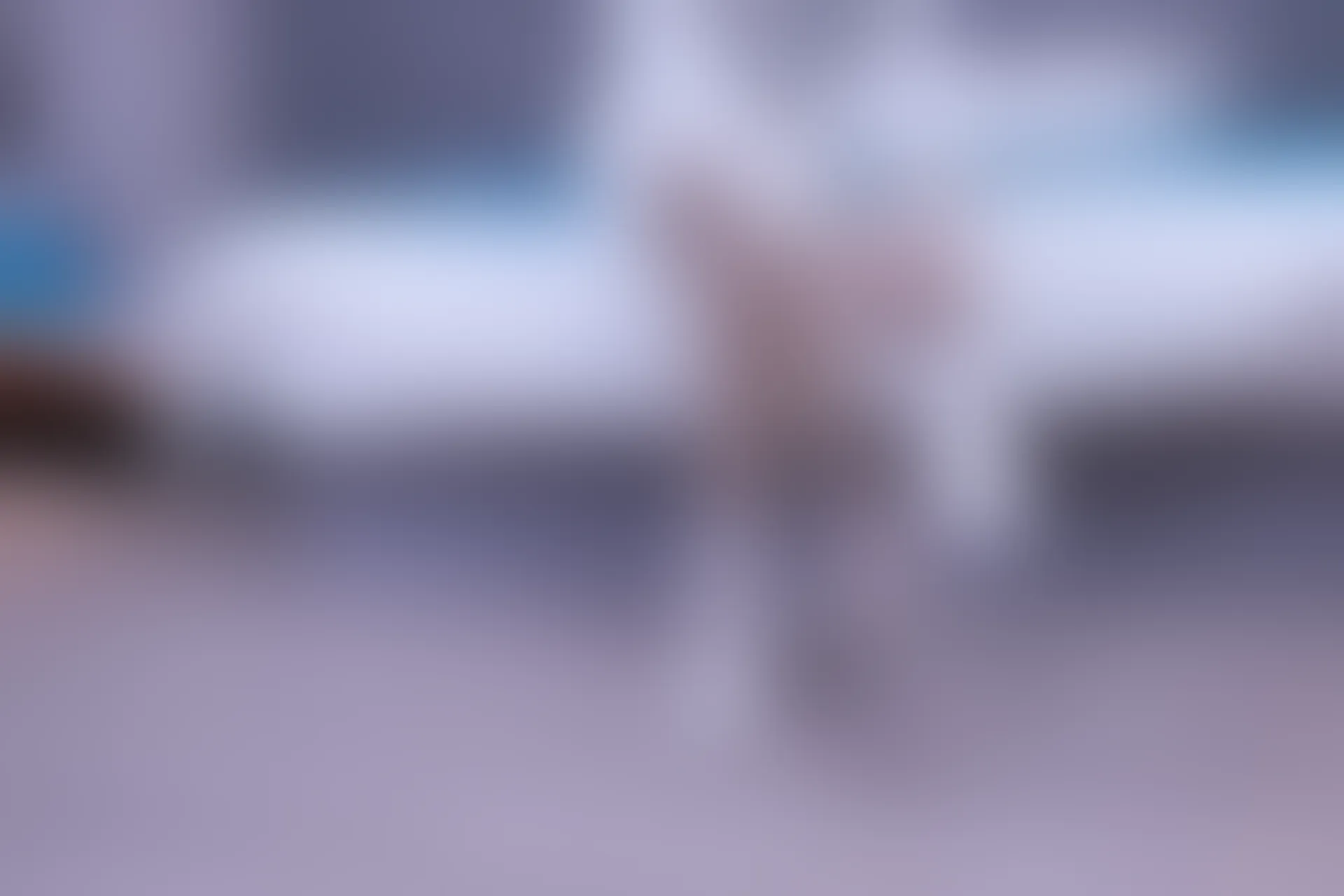 初夏女神 NO.010 依依 2022款白色毛领连衣裙搭白色短靴[147P+1V／5.55GB]