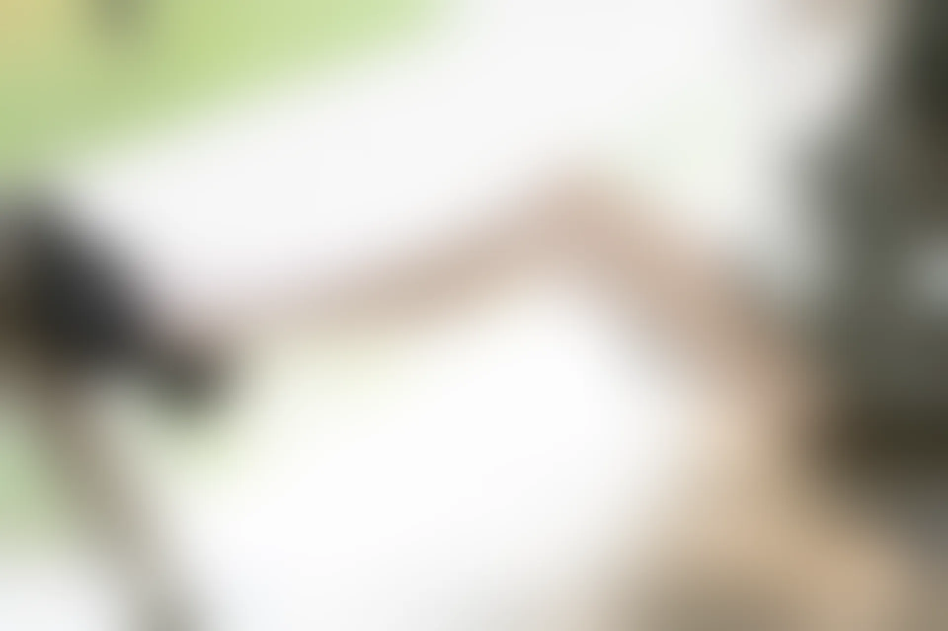D54.004 发光的白丝 [40P-85MB]