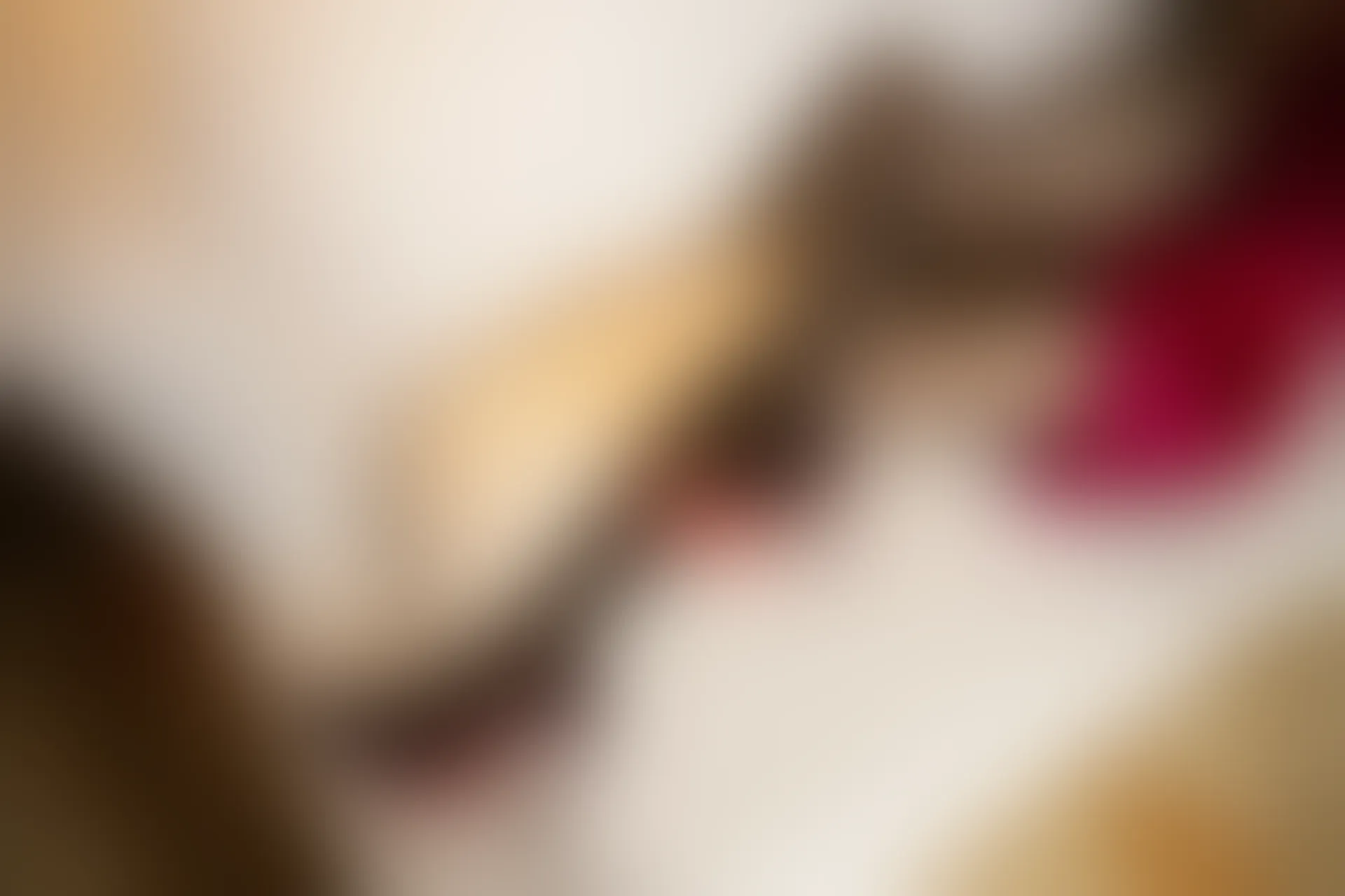 XiuRen秀人网 2019.08.28 No.1650 杨晨晨sugar [99+1P]